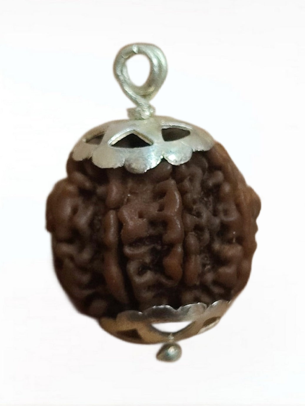 A 7 Face Rudraksha Pendant featuring a genuine 7 Mukhi bead with elegant silver capping, showcasing its brown oval shape.