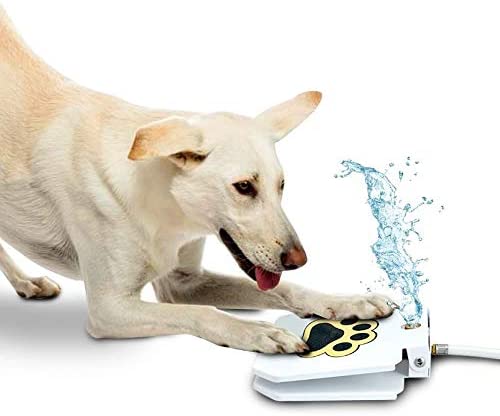 A sturdy Automatic Outdoor Dog Water Fountain with a paw-print pedal, designed for dogs to self-serve water outdoors.