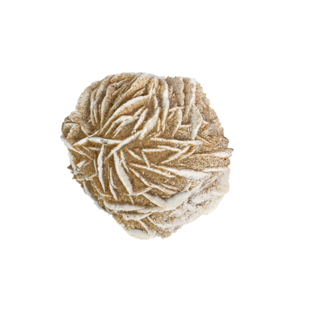 Desert Rose Crystal showcasing its unique rosette shape, symbolizing purity and spiritual growth.