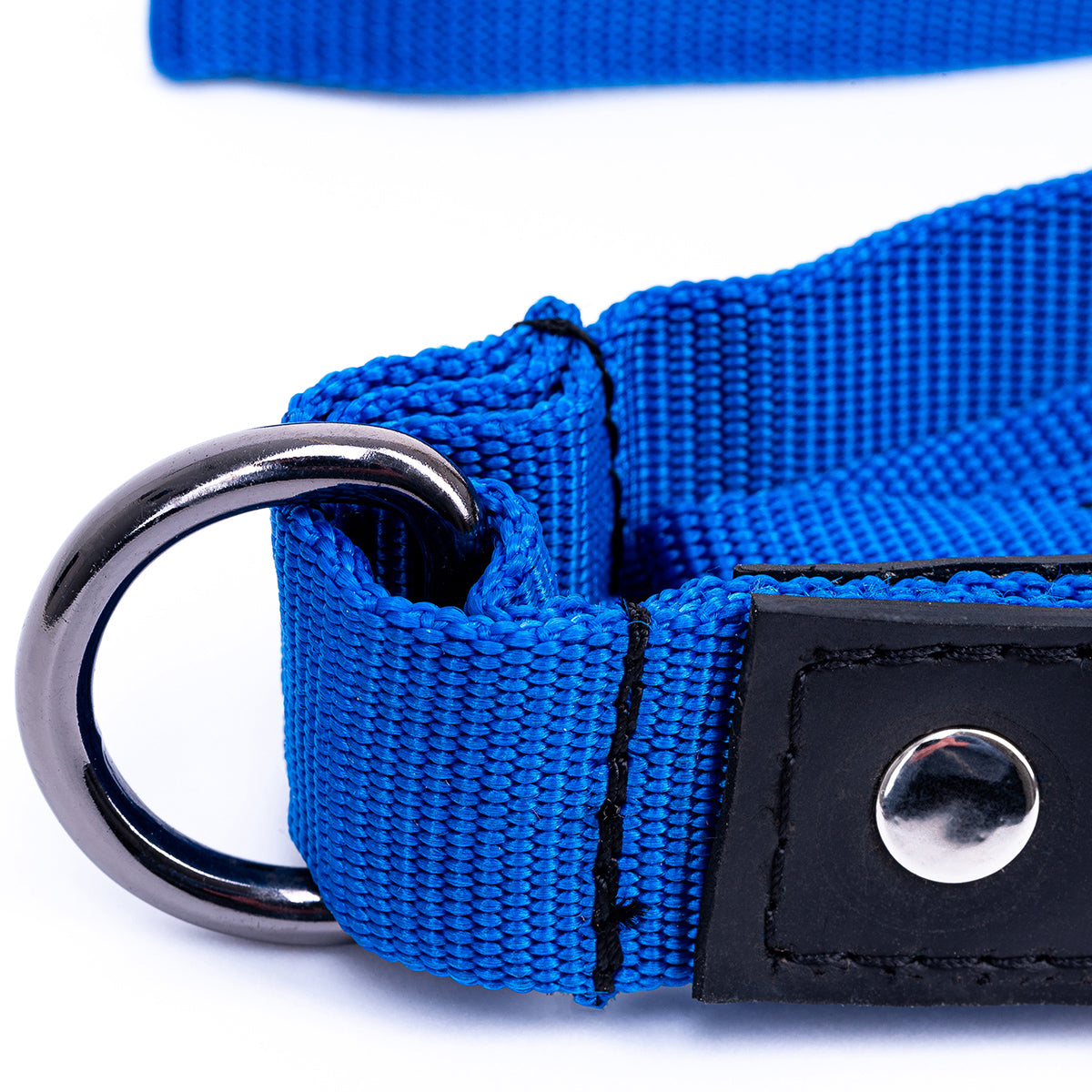 Eco Friendly Recycled Inner Tube Vegan Dog Lead in vibrant colors with padded handle and stainless steel clasp.