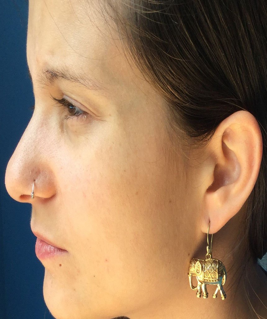 A pair of stylish elephant earrings made from brass and silver, featuring intricate detailing and an adjustable design, perfect for sensitive skin.