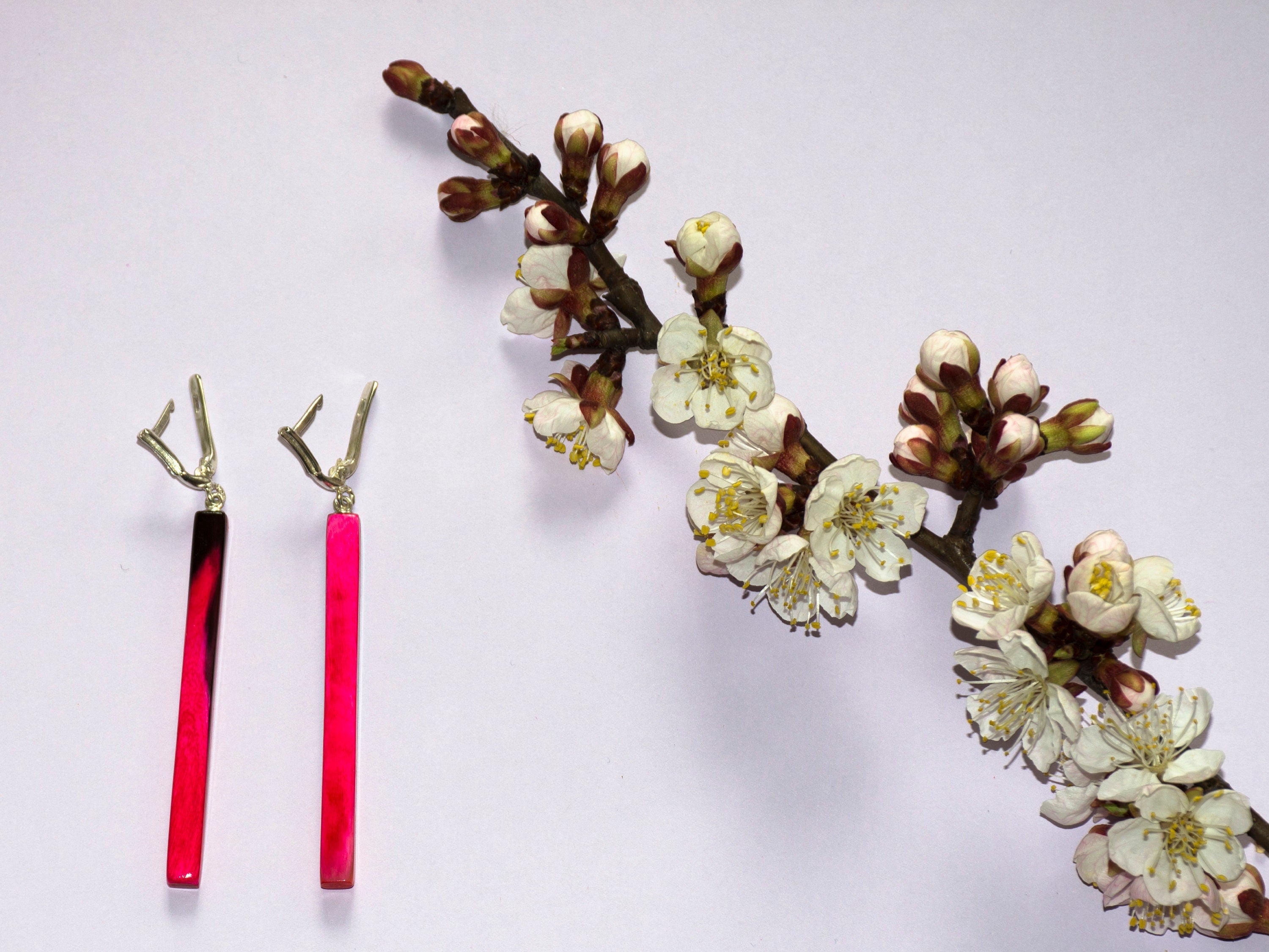 Handmade long earrings made from natural buffalo horn with a raspberry color transition, featuring silver English locks.