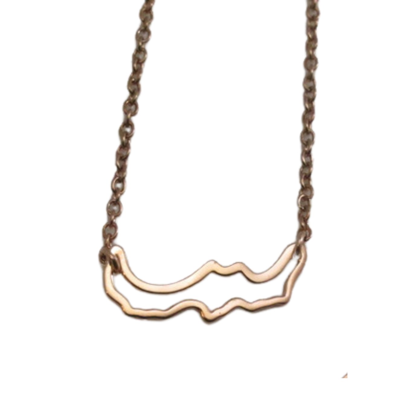 Petite Simply Savary Necklace in sterling silver with a dainty wire frame design, showcasing its elegant simplicity.