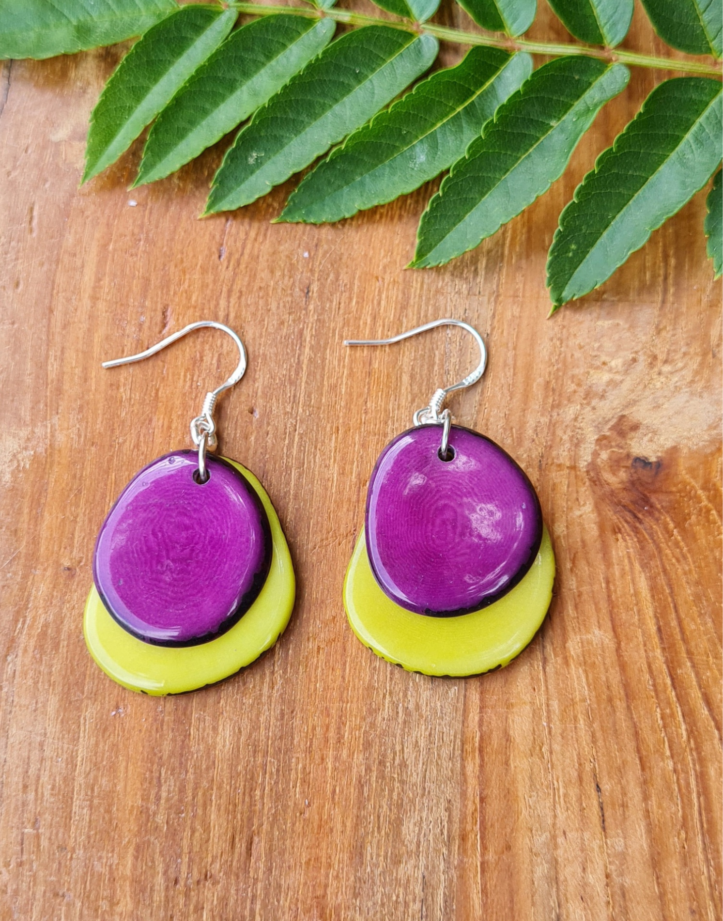 A pair of Secca Tagua Nut Earrings featuring organic vegetable ivory slices and sterling silver hooks, elegantly displayed in eco-friendly packaging.