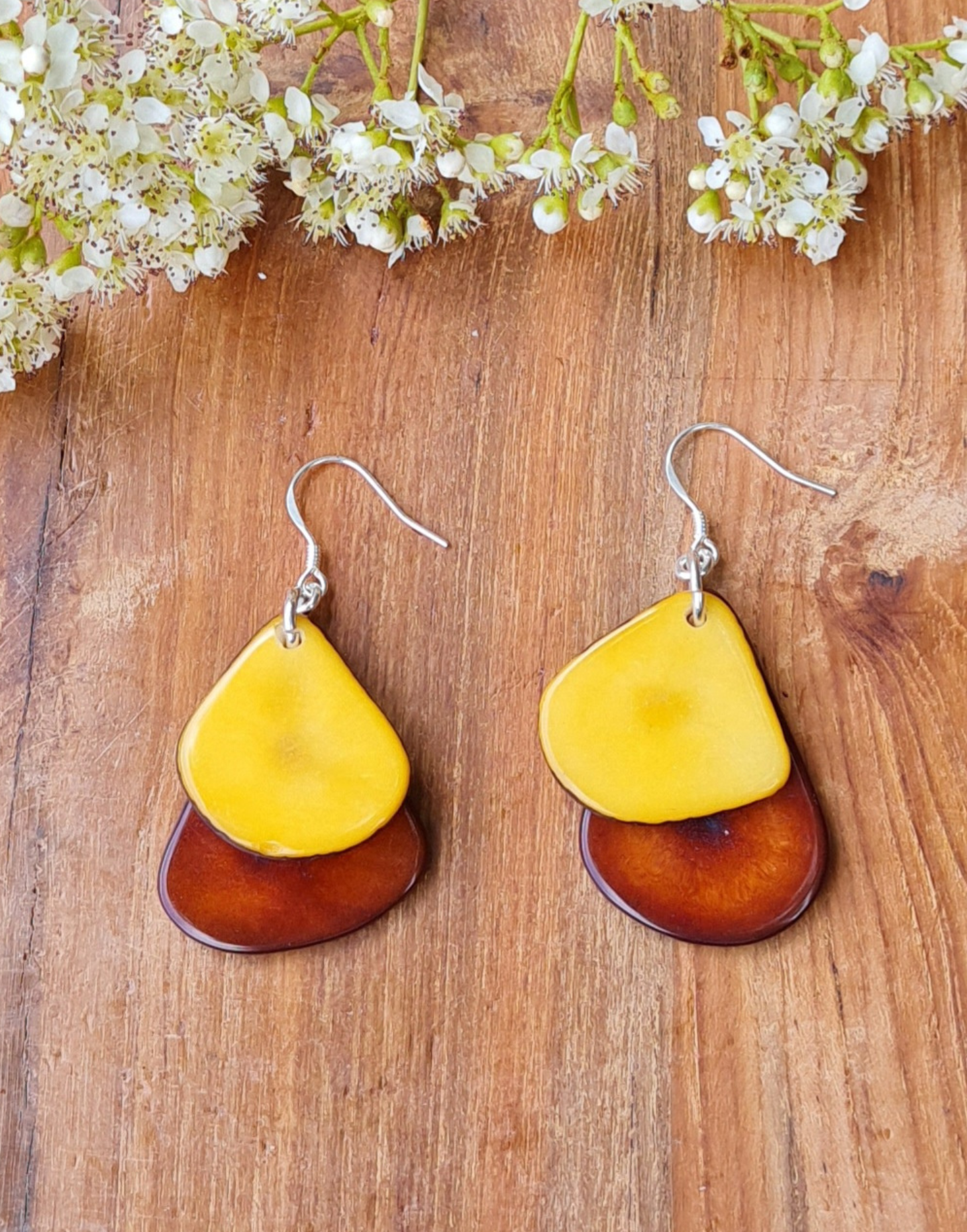 A pair of Secca Tagua Nut Earrings featuring organic vegetable ivory slices and sterling silver hooks, elegantly displayed in eco-friendly packaging.