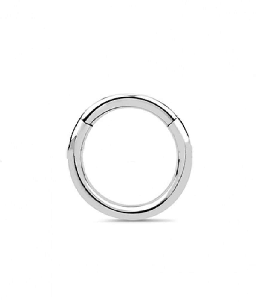 A stylish surgical steel hinged septum ring, elegantly designed and available in various colors and sizes.