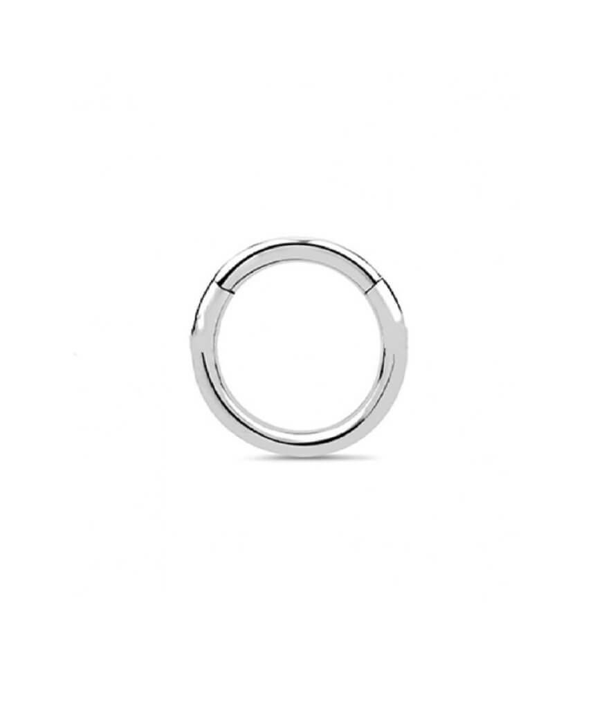 A stylish surgical steel hinged septum ring, elegantly designed and available in various colors and sizes.