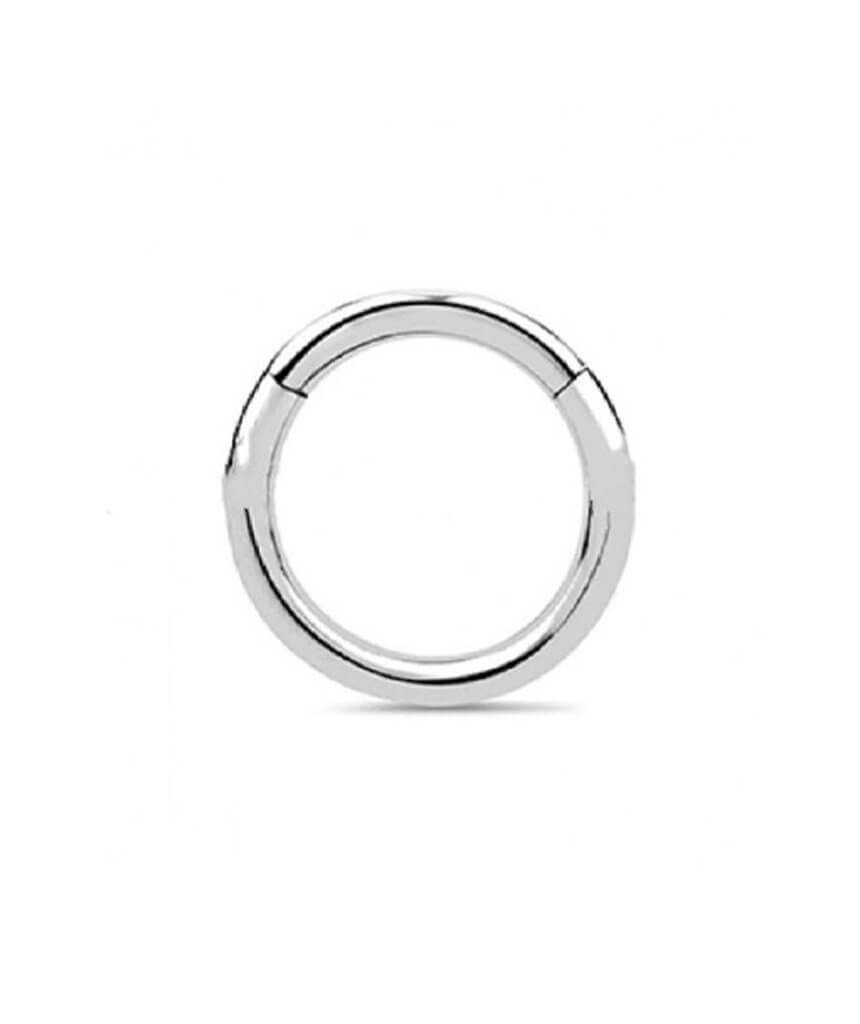 A stylish surgical steel hinged septum ring, elegantly designed and available in various colors and sizes.