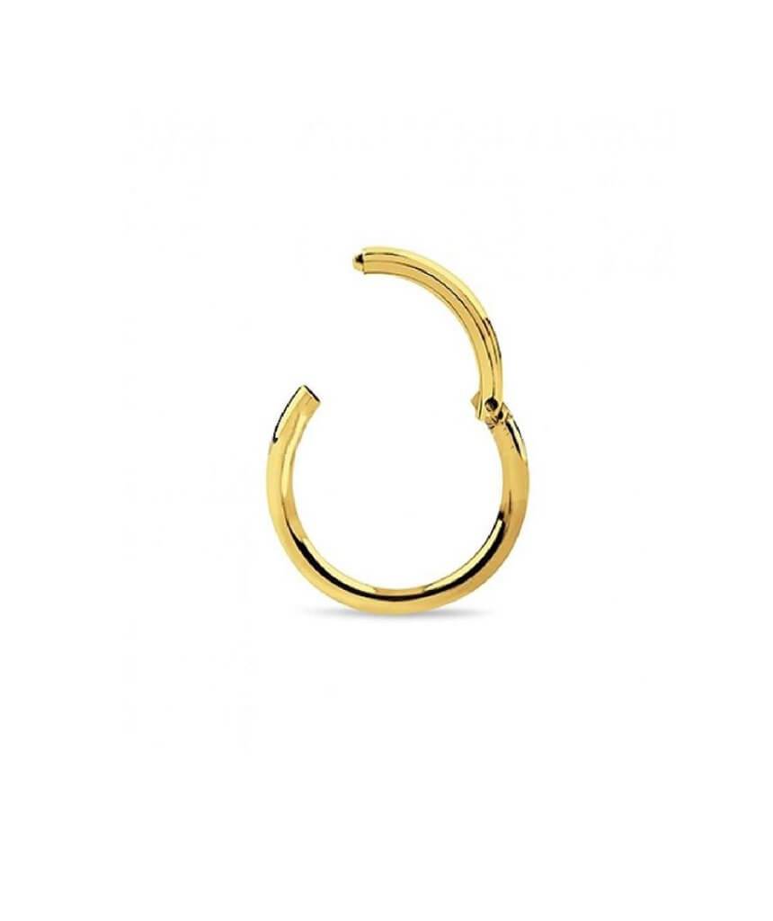 A stylish surgical steel hinged septum ring, elegantly designed and available in various colors and sizes.