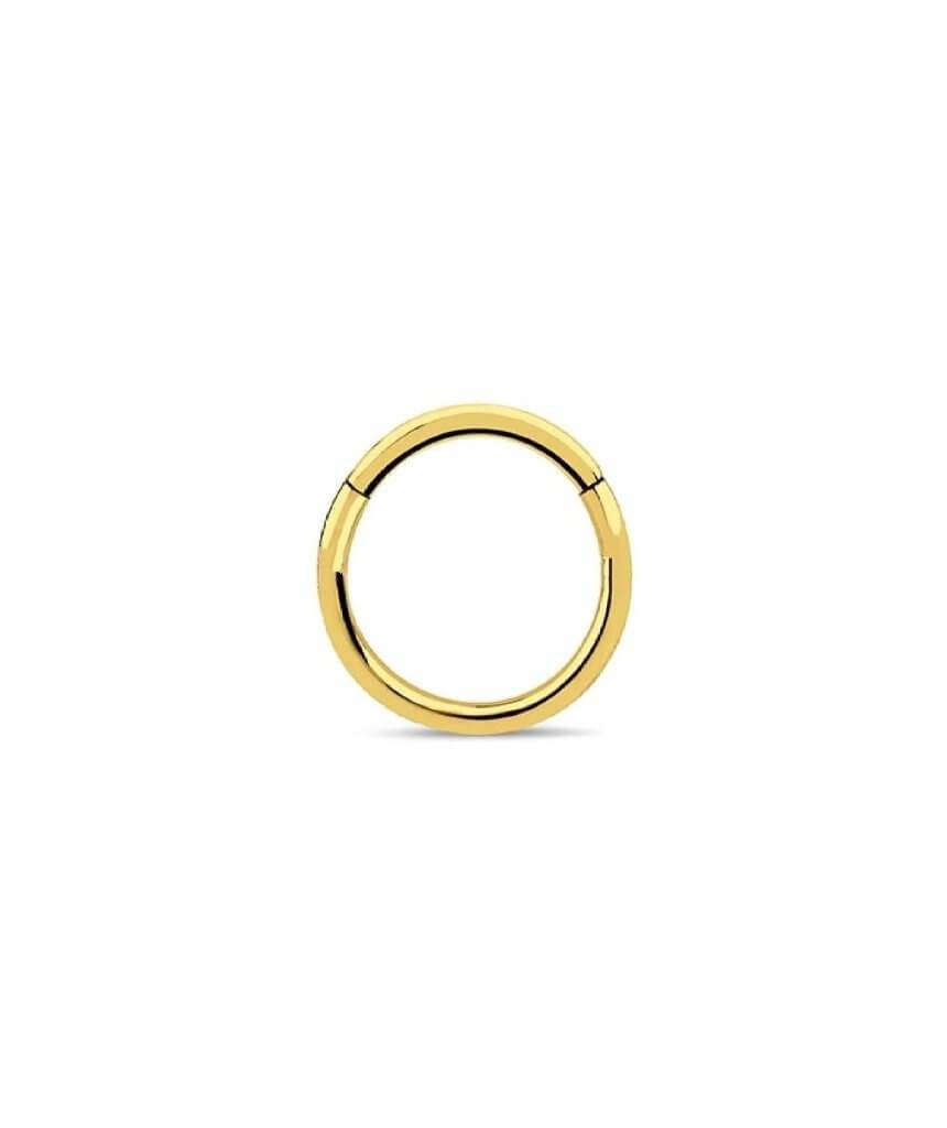 A stylish surgical steel hinged septum ring, elegantly designed and available in various colors and sizes.