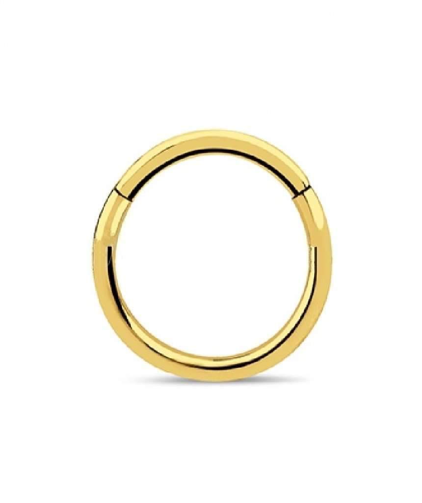 A stylish surgical steel hinged septum ring, elegantly designed and available in various colors and sizes.