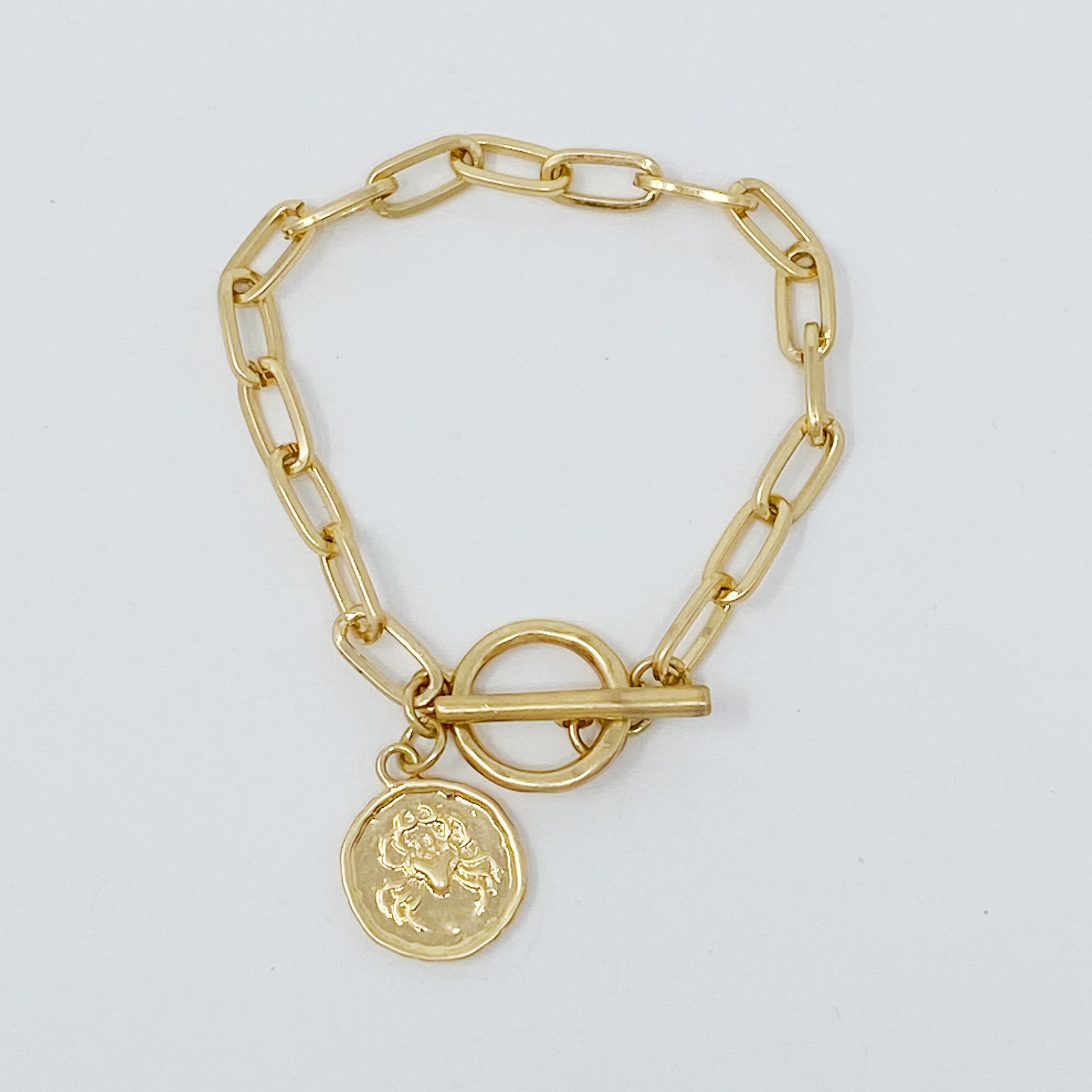 Zodiac Charm Chain Bracelet featuring a gold dipped brass link chain and a zodiac sign charm.