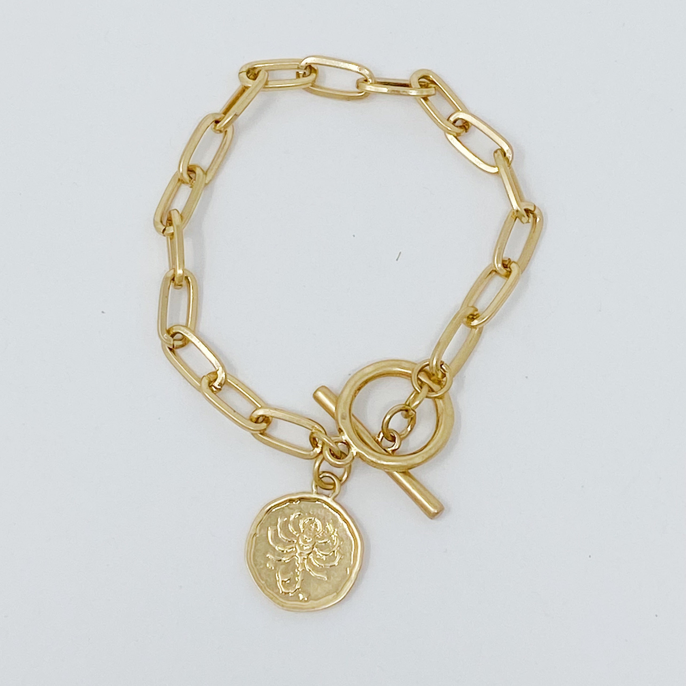 Zodiac Charm Chain Bracelet featuring a gold dipped brass link chain and a zodiac sign charm.