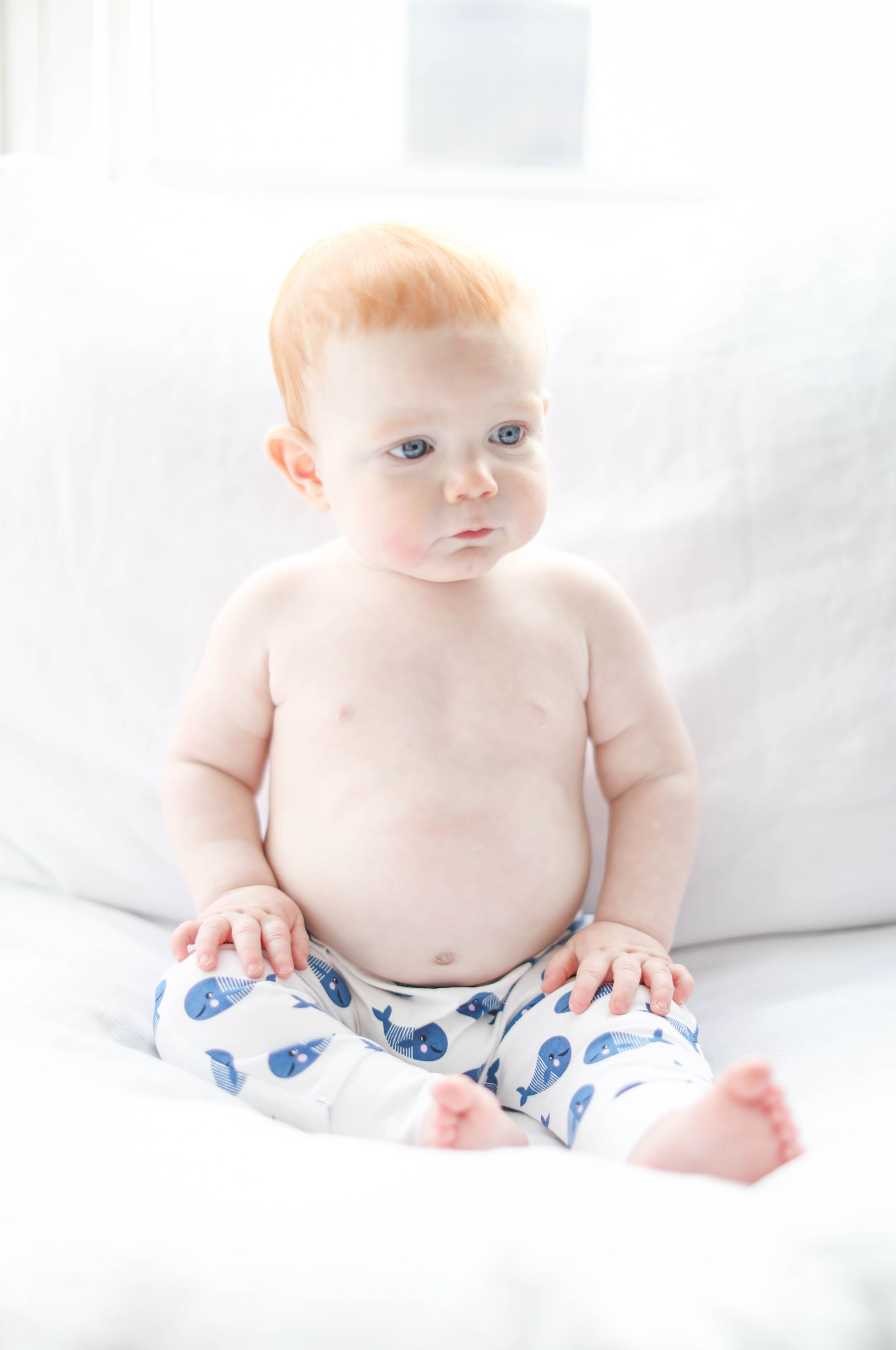 Boo Boo Harem Pants in Blue Whale design, featuring organic cotton and spandex for baby comfort.