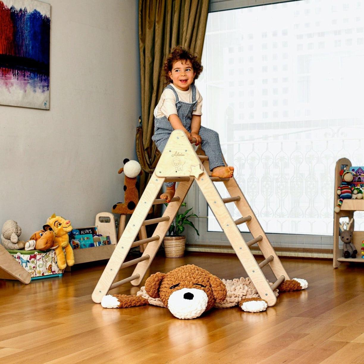 Foldable Climbing Triangle and Ladder Ramp made of natural birch and linden wood, designed for toddlers to enhance motor skills.