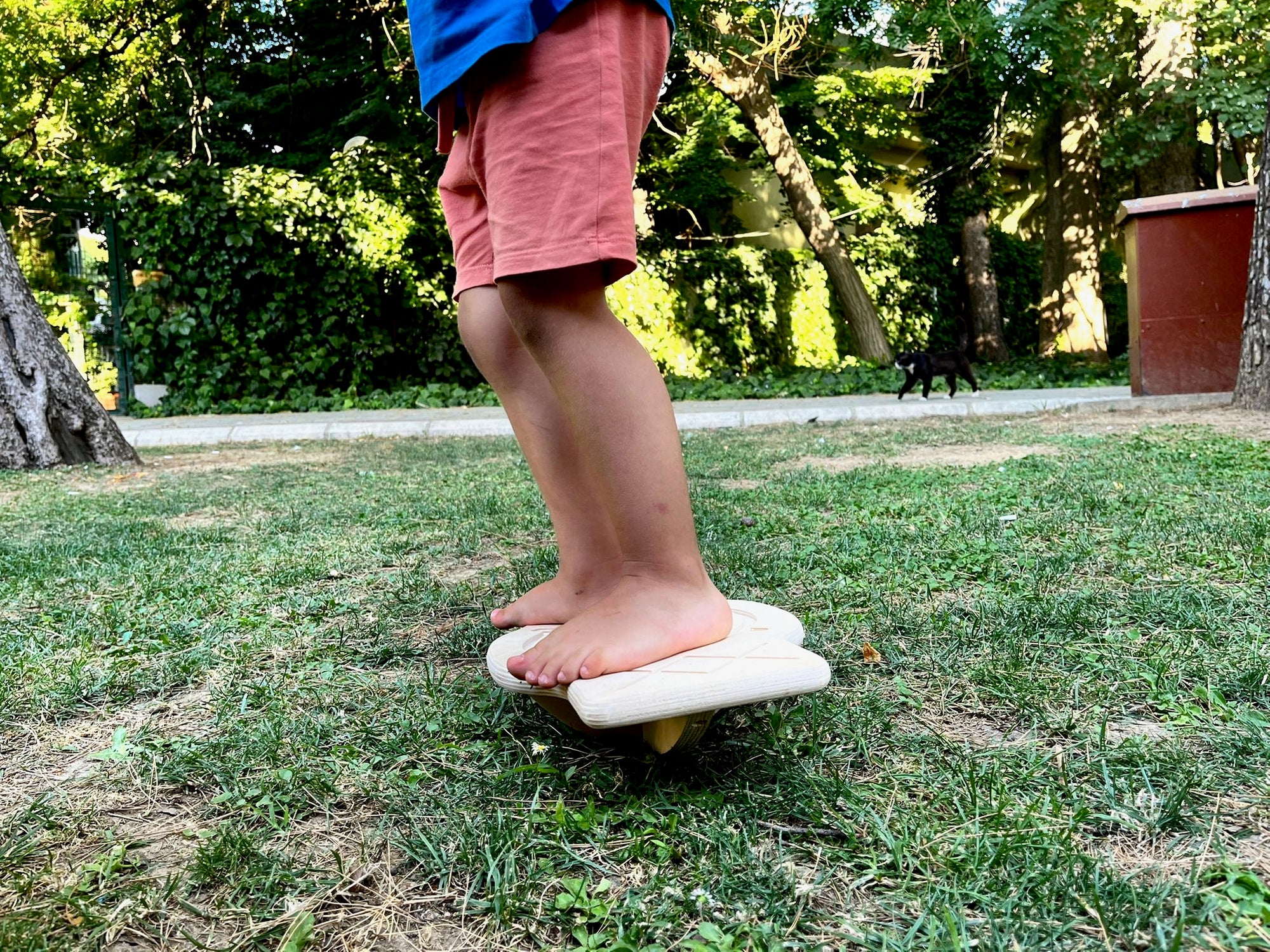 Maze Wooden Balance Board designed for core strength and balance training, featuring a smooth surface and durable wooden construction.