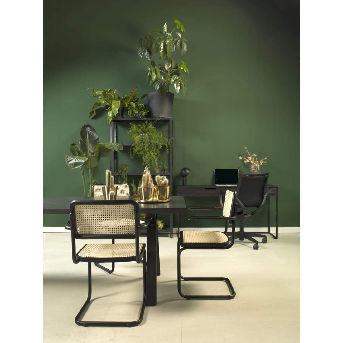 Workliving Bas Eetkamerstoel featuring a sleek black rattan design with armrests, perfect for dining rooms.