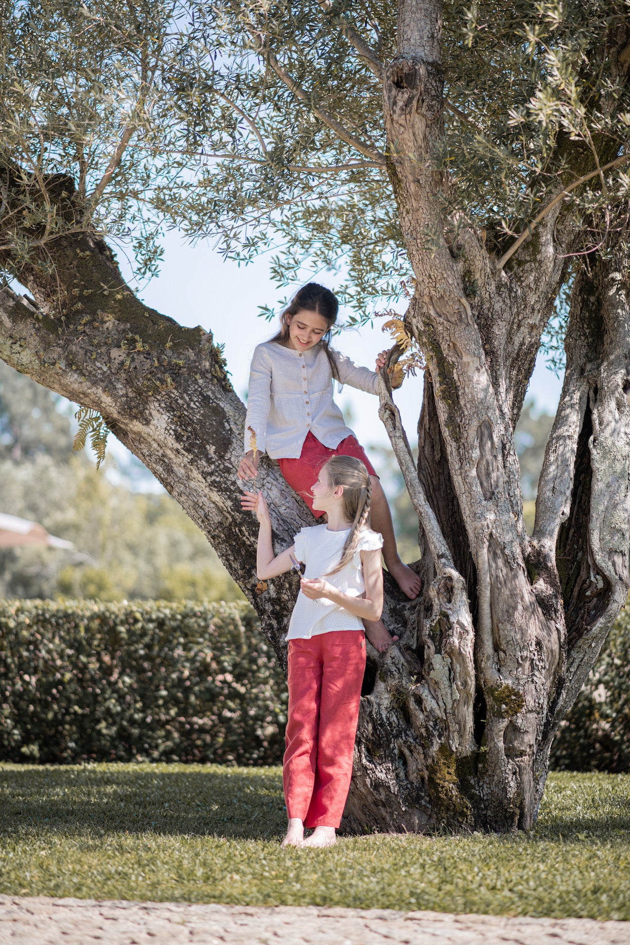 Aster Terracotta Pants featuring a straight leg design, wood buttons on the sides, and an elasticised waist, made from lightweight linen fabric.