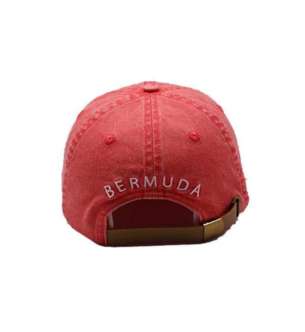 Red Bermies dad cap featuring hand-stitched summer fruit and animal designs, made from upcycled materials.