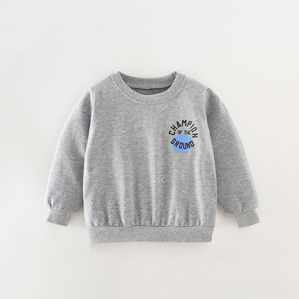 Cozy grey hoodie for baby boys with slogan print and pattern, perfect for autumn wear.