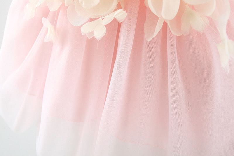 A beautiful baby girl wearing a flower patched design mesh princess formal dress in pink, showcasing delicate floral details and an elegant style.