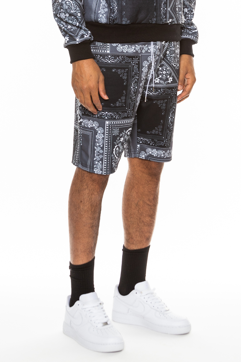 Main Paisley All Over Print Shorts image