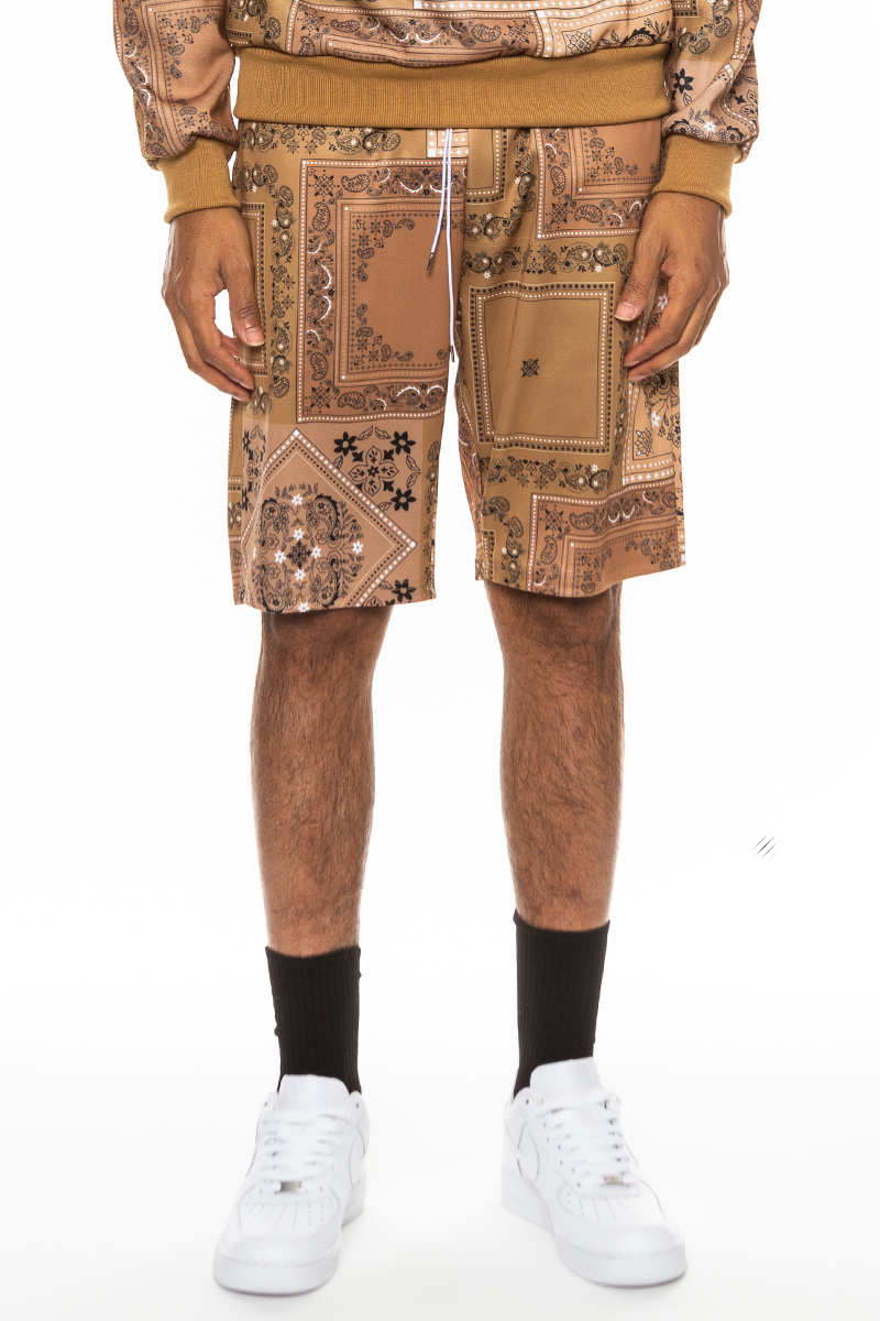 Main Paisley All Over Print Shorts image