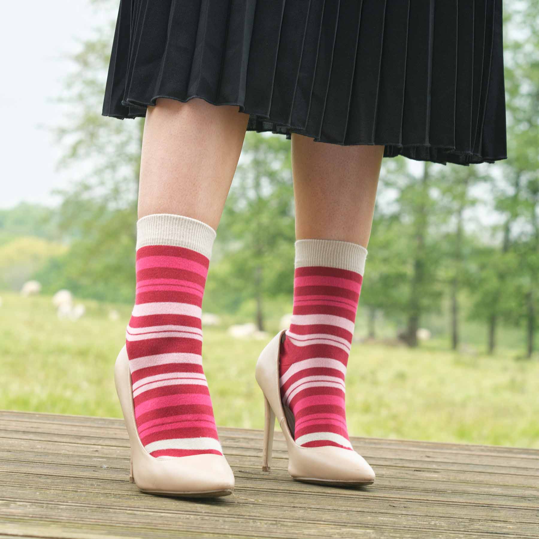 Colorful Elizabeth Women's Socks featuring taupe, pink, and wine stripes, made from luxurious Supima cotton.