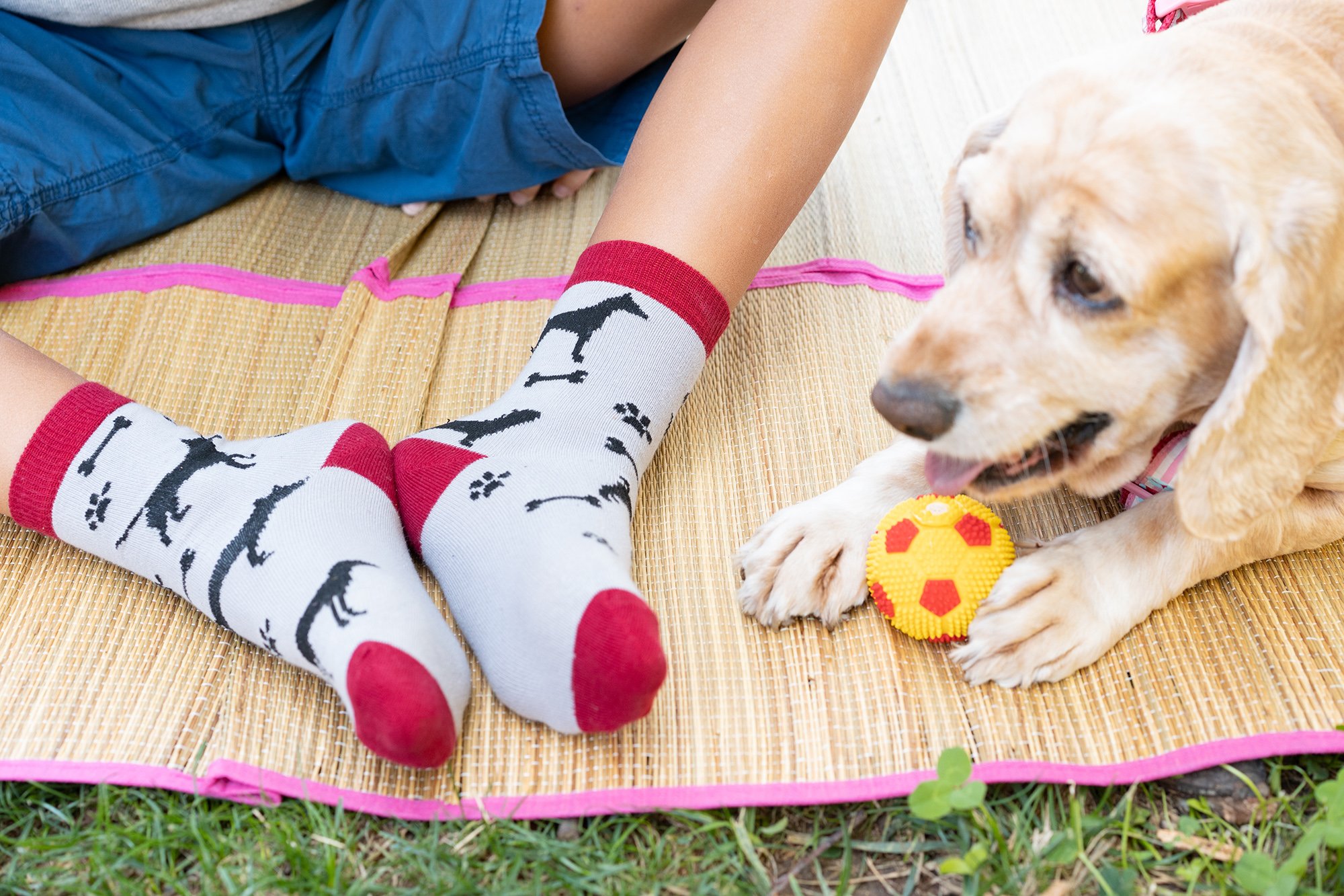 Colorful Kids Cute Dogs Socks featuring fun dog designs, made from soft cotton for comfort.