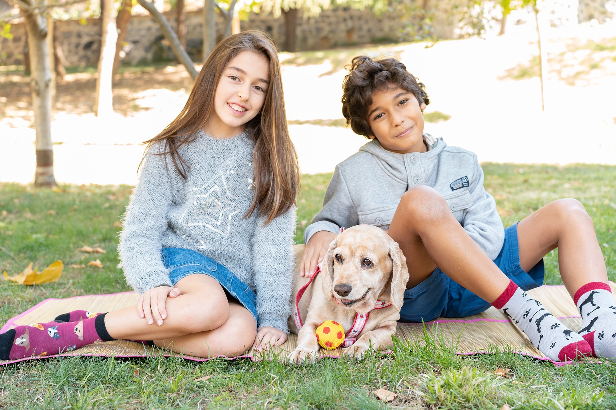 Colorful Kids Cute Dogs Socks featuring fun dog designs, made from soft cotton for comfort.