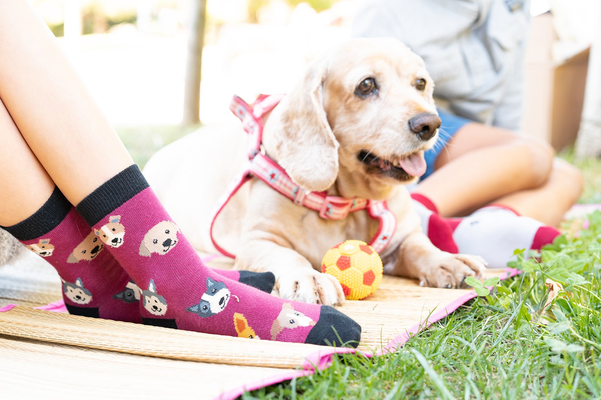 Colorful Kids Cute Dogs Socks featuring fun dog designs, made from soft cotton for comfort.