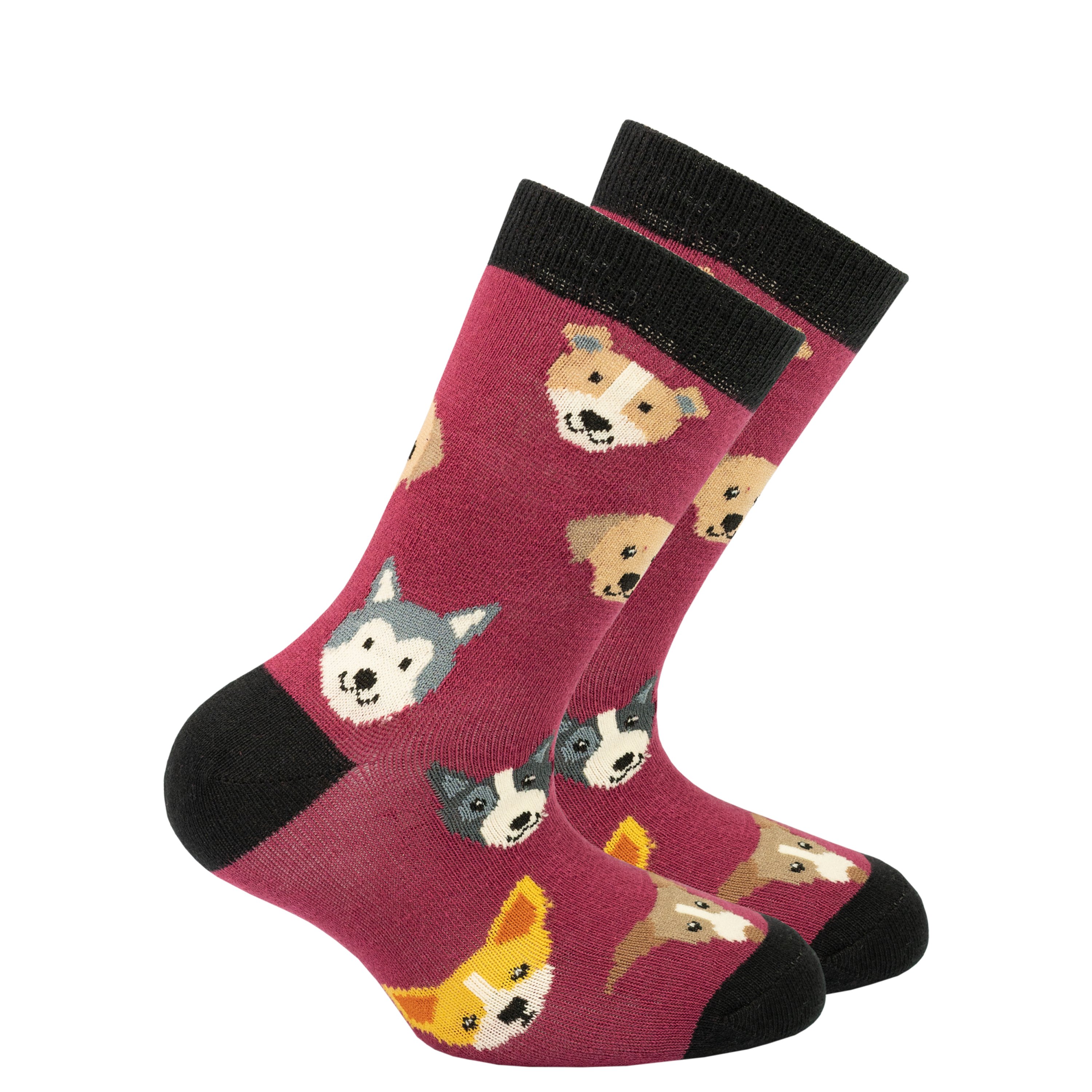 Colorful Kids Cute Dogs Socks featuring fun dog designs, perfect for children.