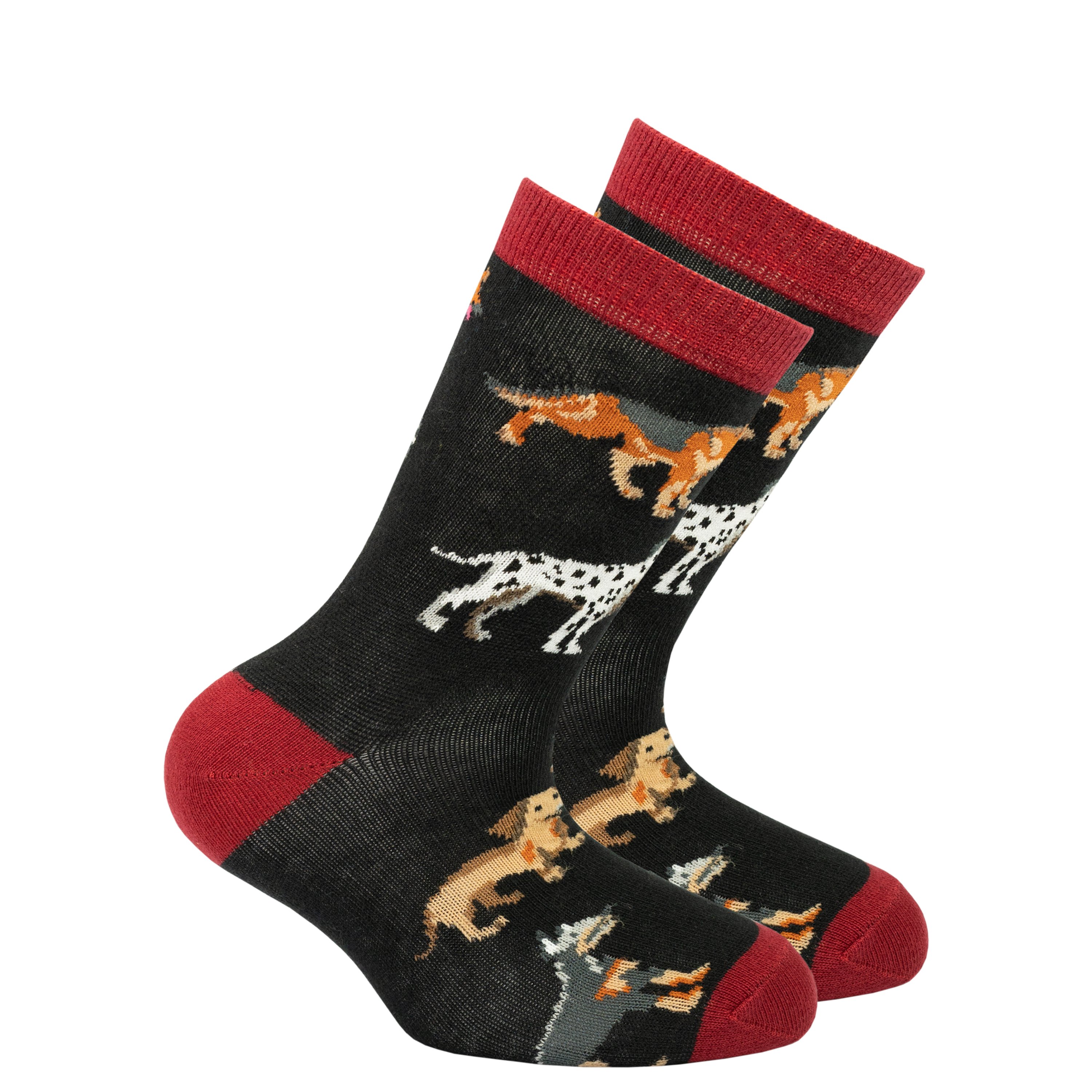 Colorful Kids Dog Species Socks featuring playful dog designs, perfect for children's outfits.