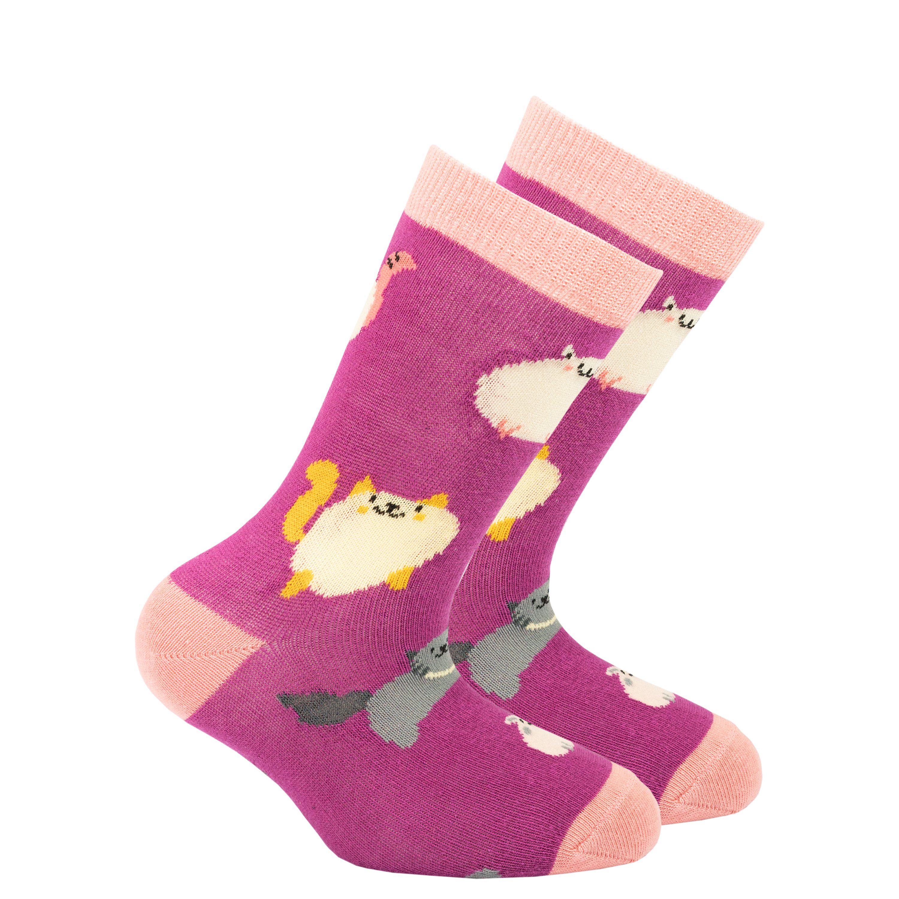 Colorful Kids Fatty Cats Socks made from soft Turkish cotton, featuring fun designs perfect for kids.