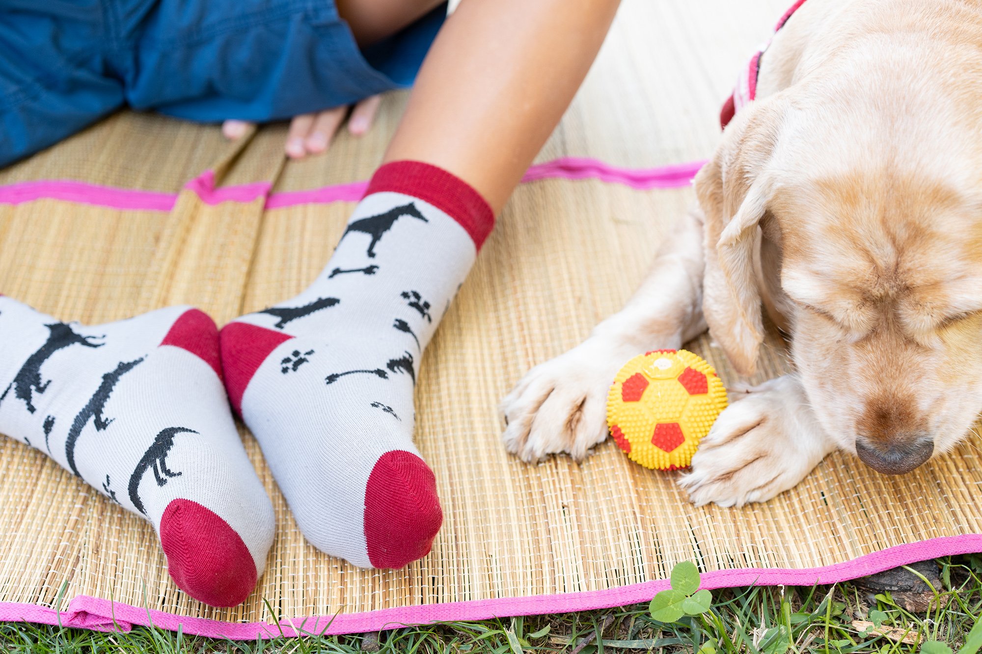 Colorful Kids Shadow Dog Socks featuring a playful dog design, made from soft Turkish cotton for comfort.