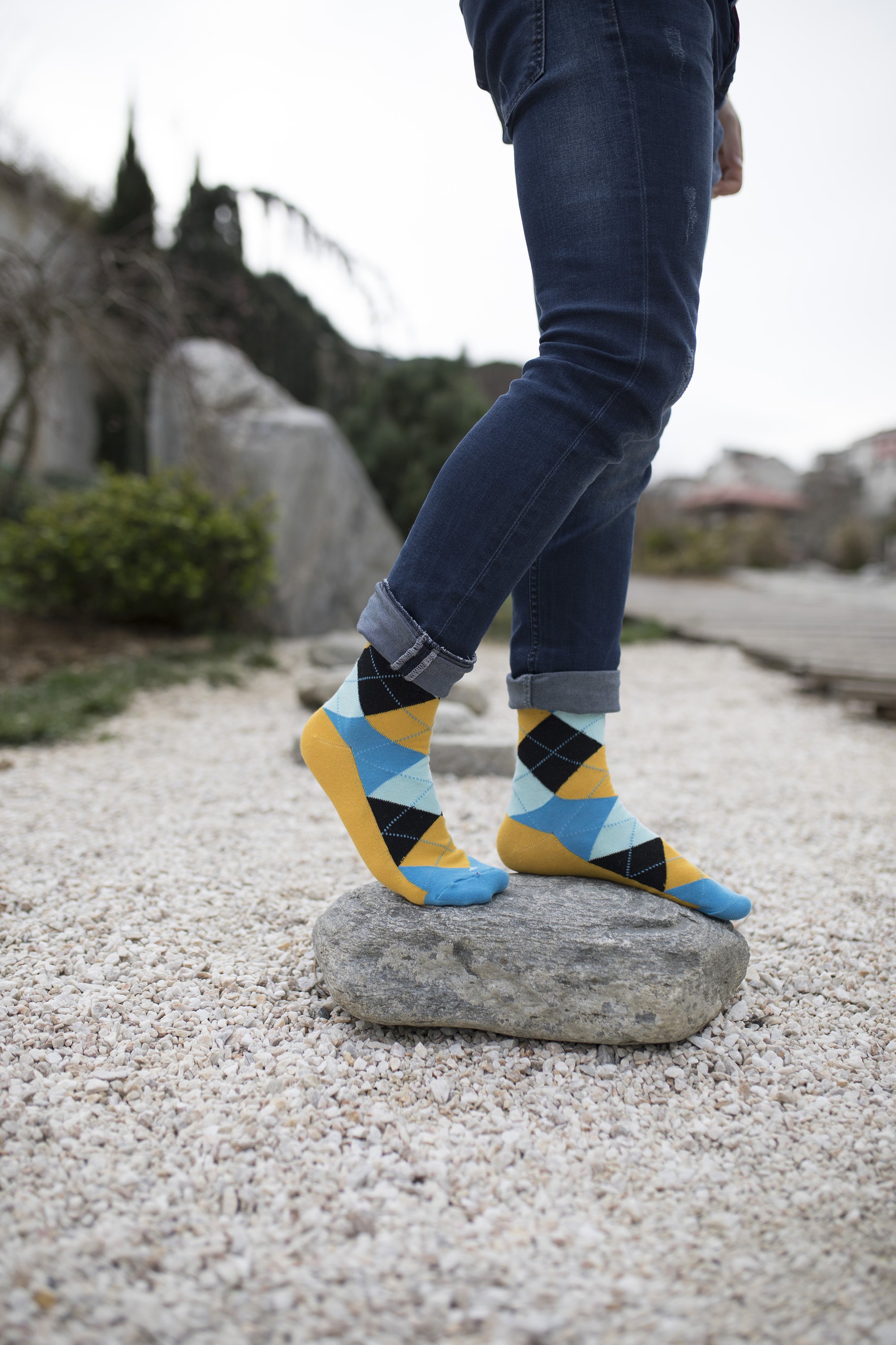 Men's Bluebird Argyle Socks featuring a stylish bluebird pattern, made from premium combed cotton for comfort.