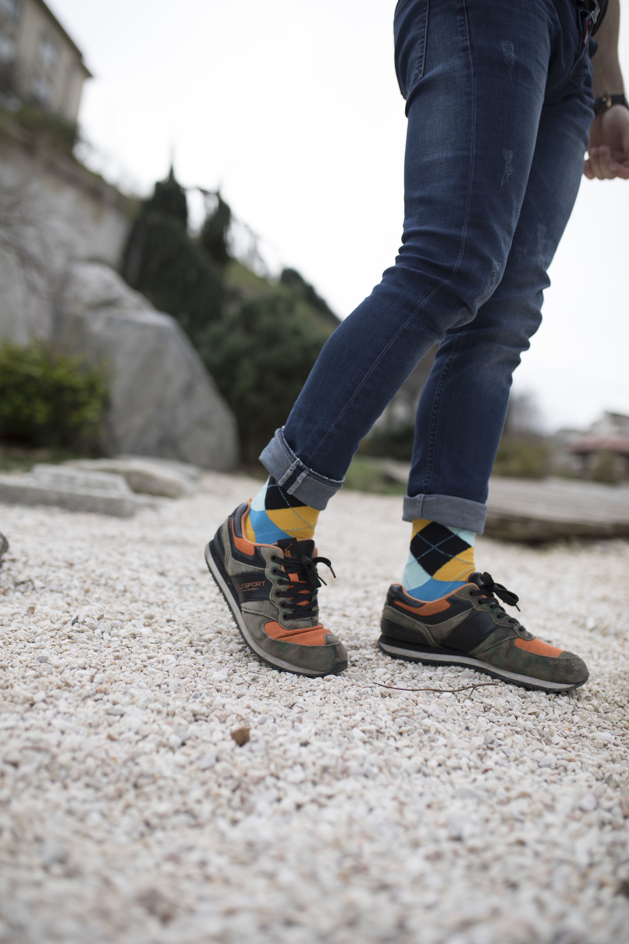 Men's Bluebird Argyle Socks featuring a stylish bluebird pattern, made from premium combed cotton for comfort.