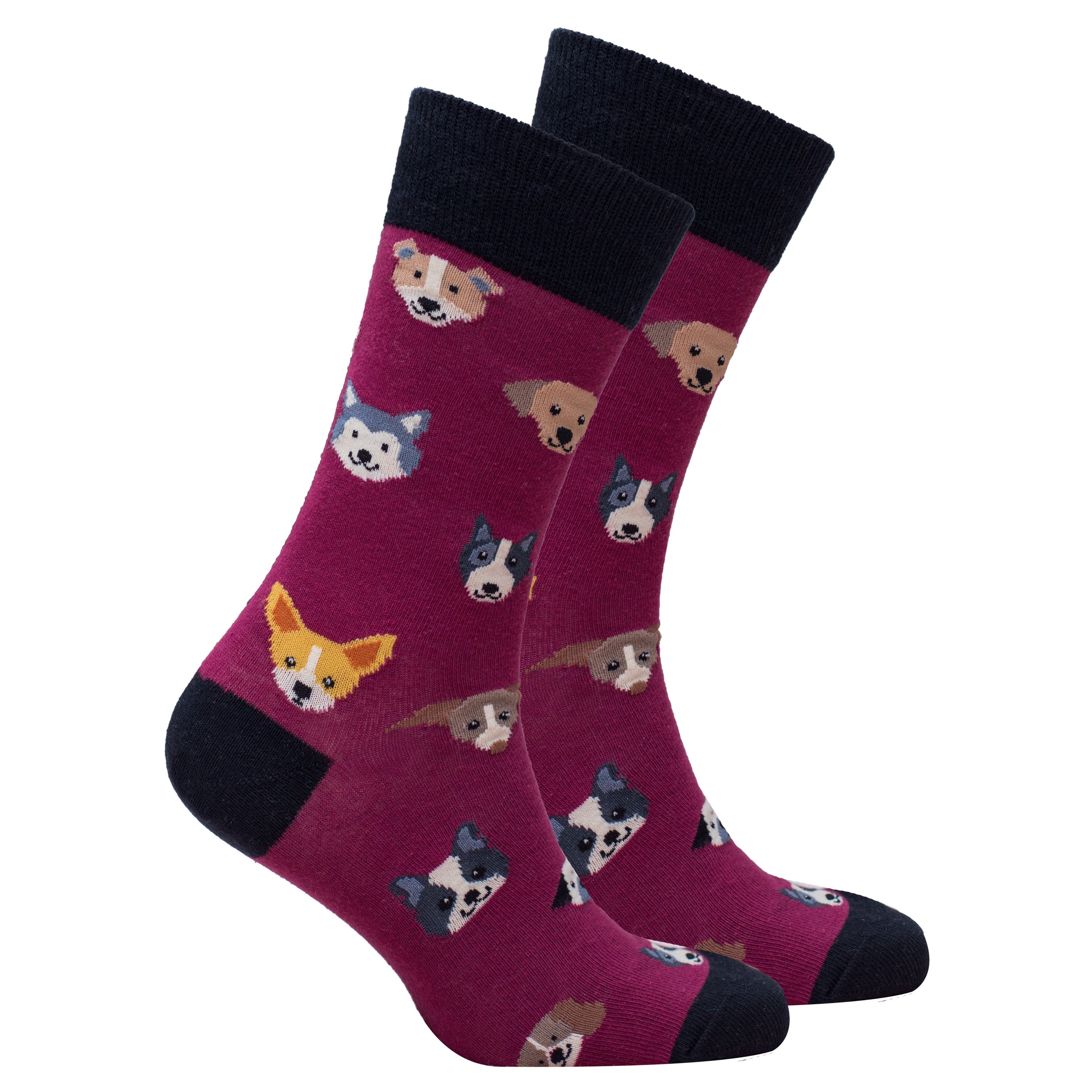 Men's Dogs Socks featuring colorful dog patterns, made from soft Turkish cotton for comfort and style.