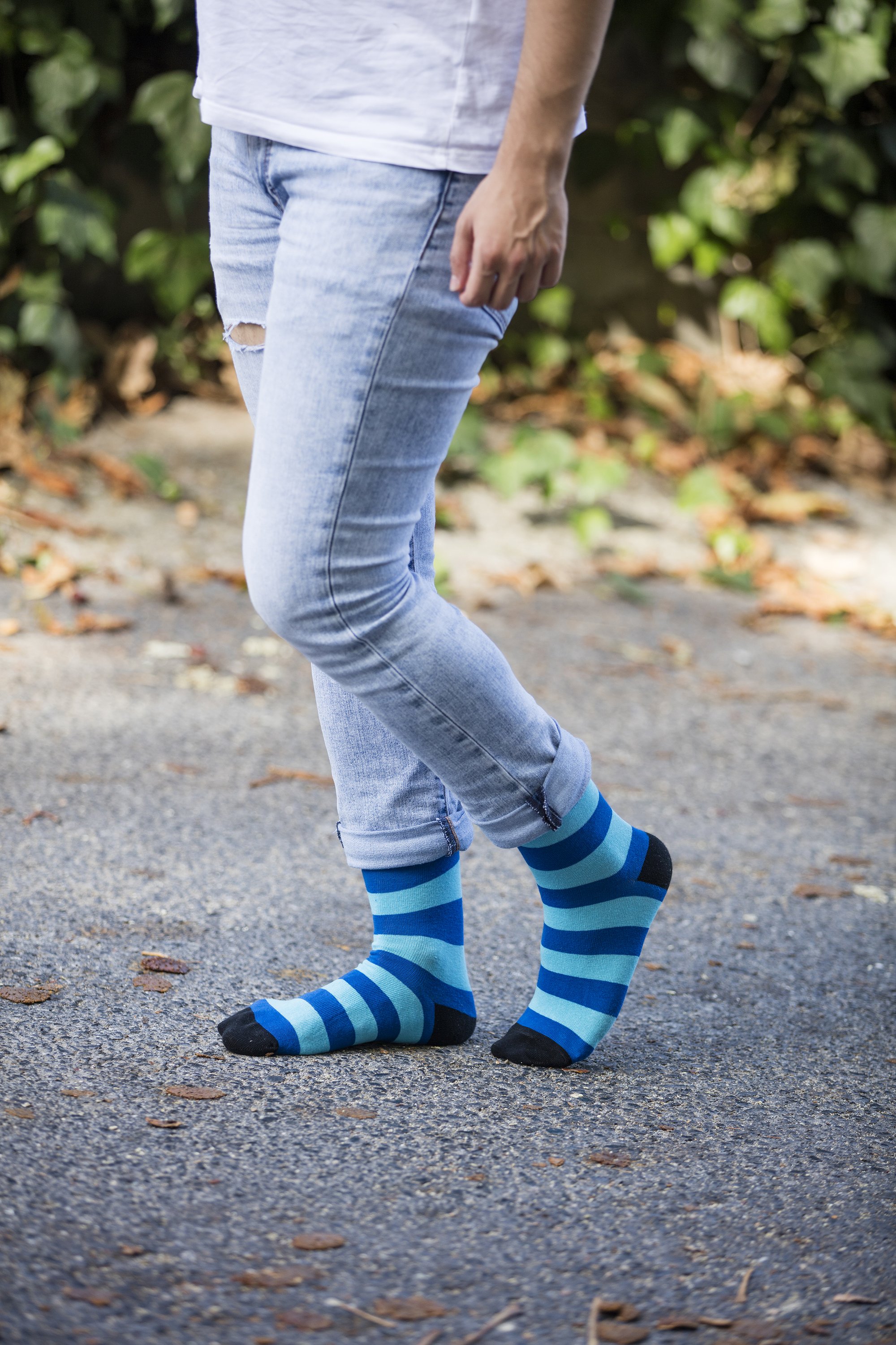 Men's Fresh Stripes Socks featuring colorful designs and premium cotton material for comfort and style.