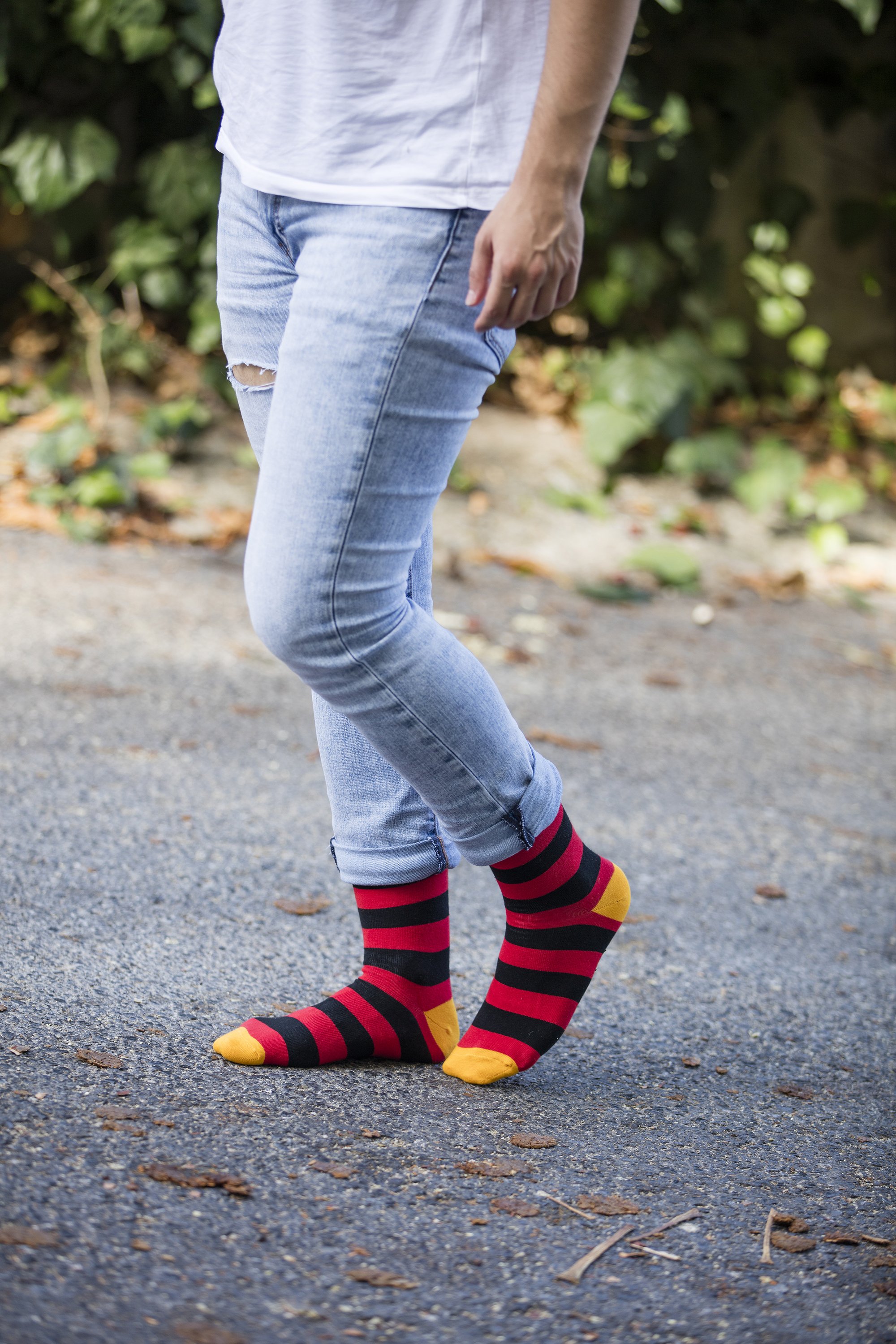 Men's Fresh Stripes Socks featuring colorful designs and premium cotton material for comfort and style.