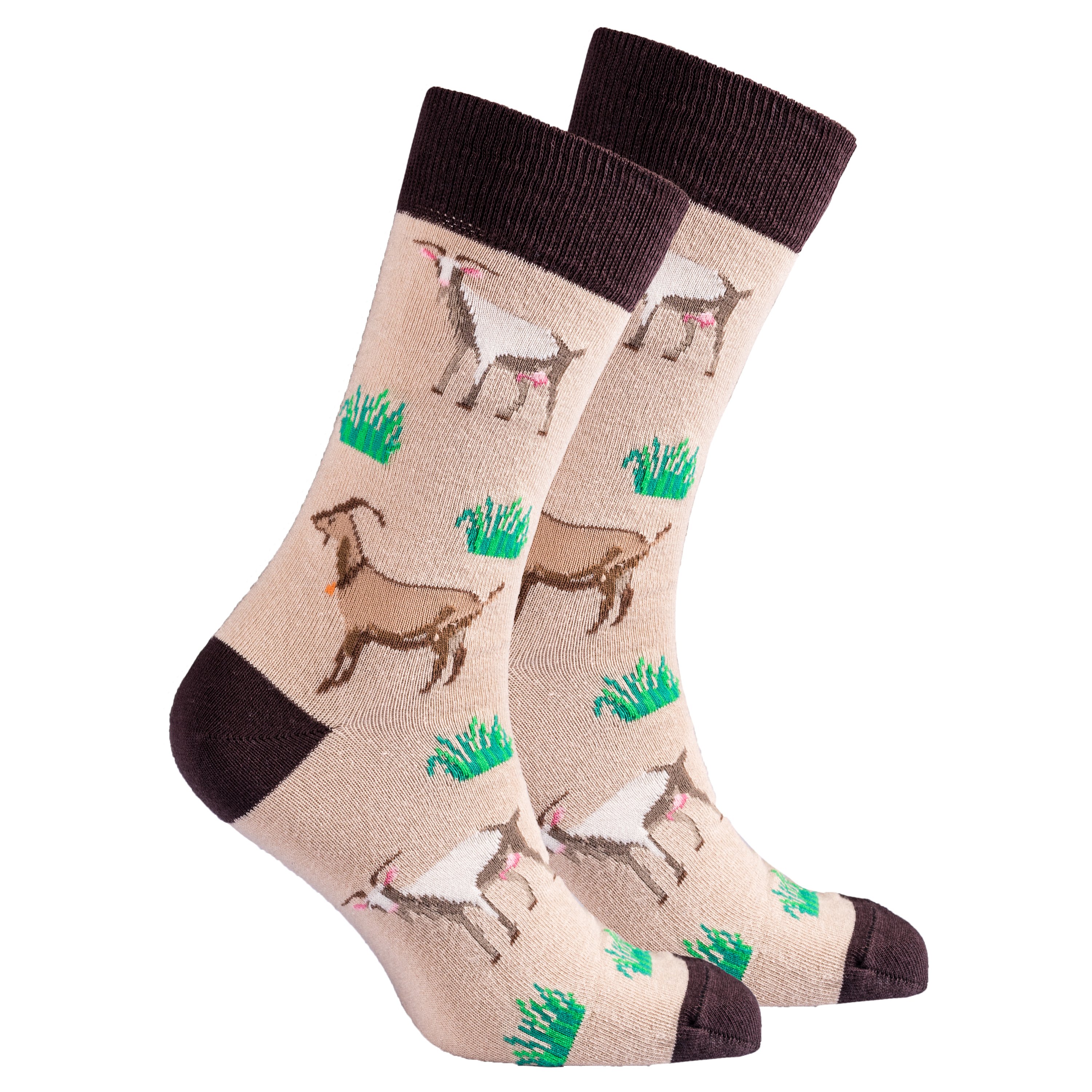 Men's Goat Socks featuring colorful designs and premium cotton material, perfect for adding a fun touch to any outfit.