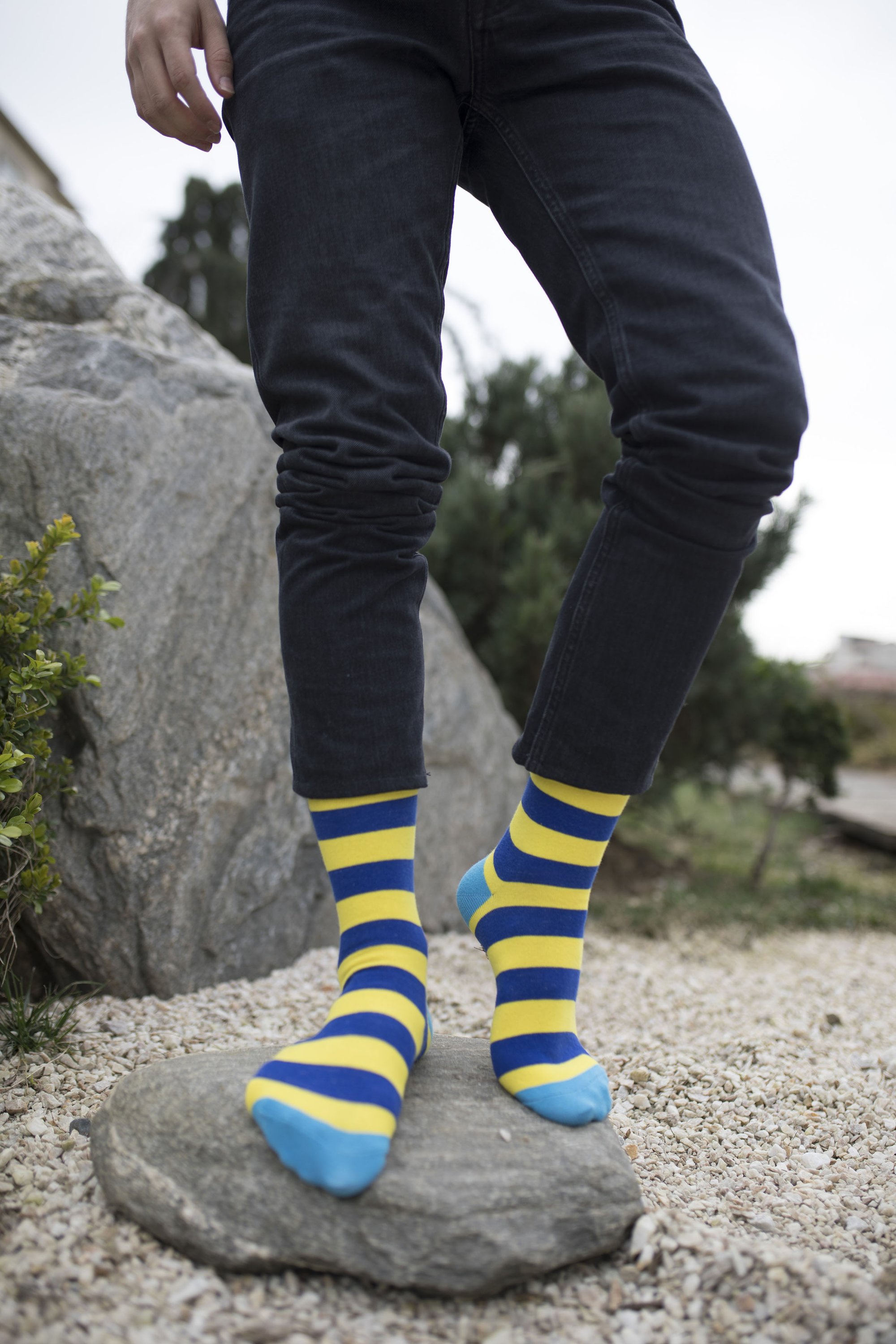 Men's Lemon Sky Stripe Socks featuring a vibrant lemon sky pattern, made from soft combed cotton for comfort.