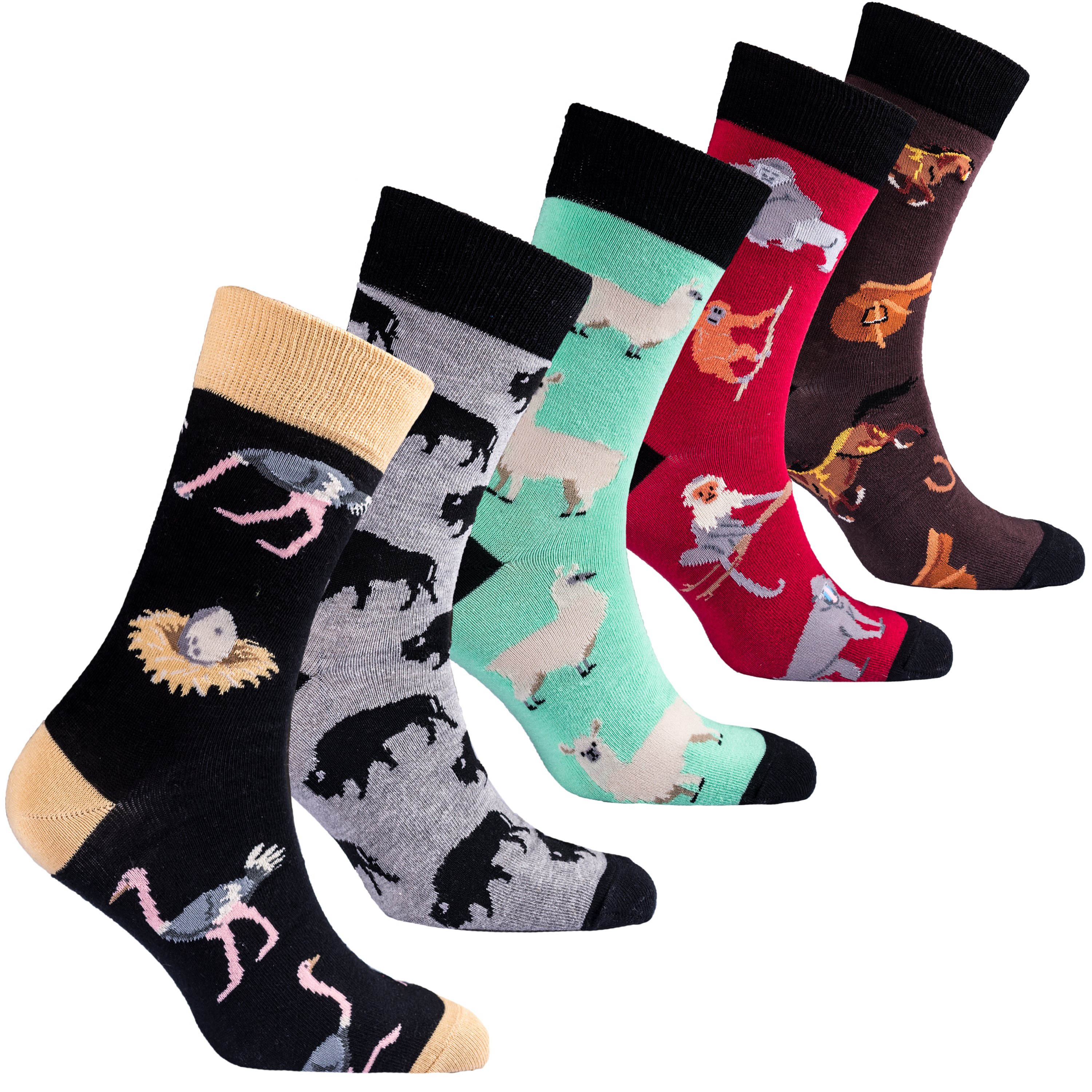 Men's Wilder Animal Socks featuring colorful and trendy patterns, made from soft Turkish cotton for comfort.