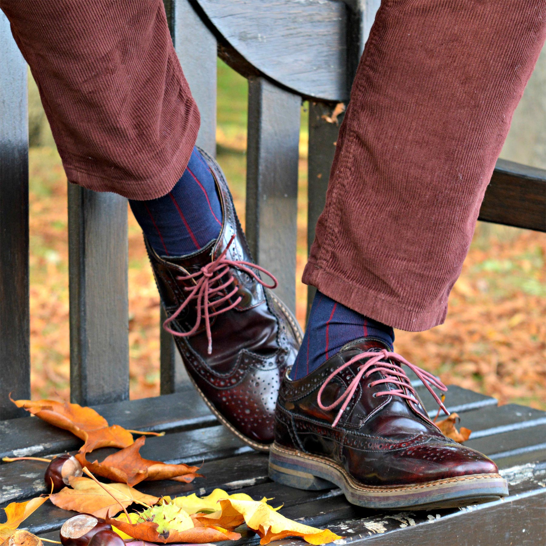 Navy Pin Stripe men's socks featuring burgundy stripes, heel, and toe, crafted from Mercerised Egyptian cotton.