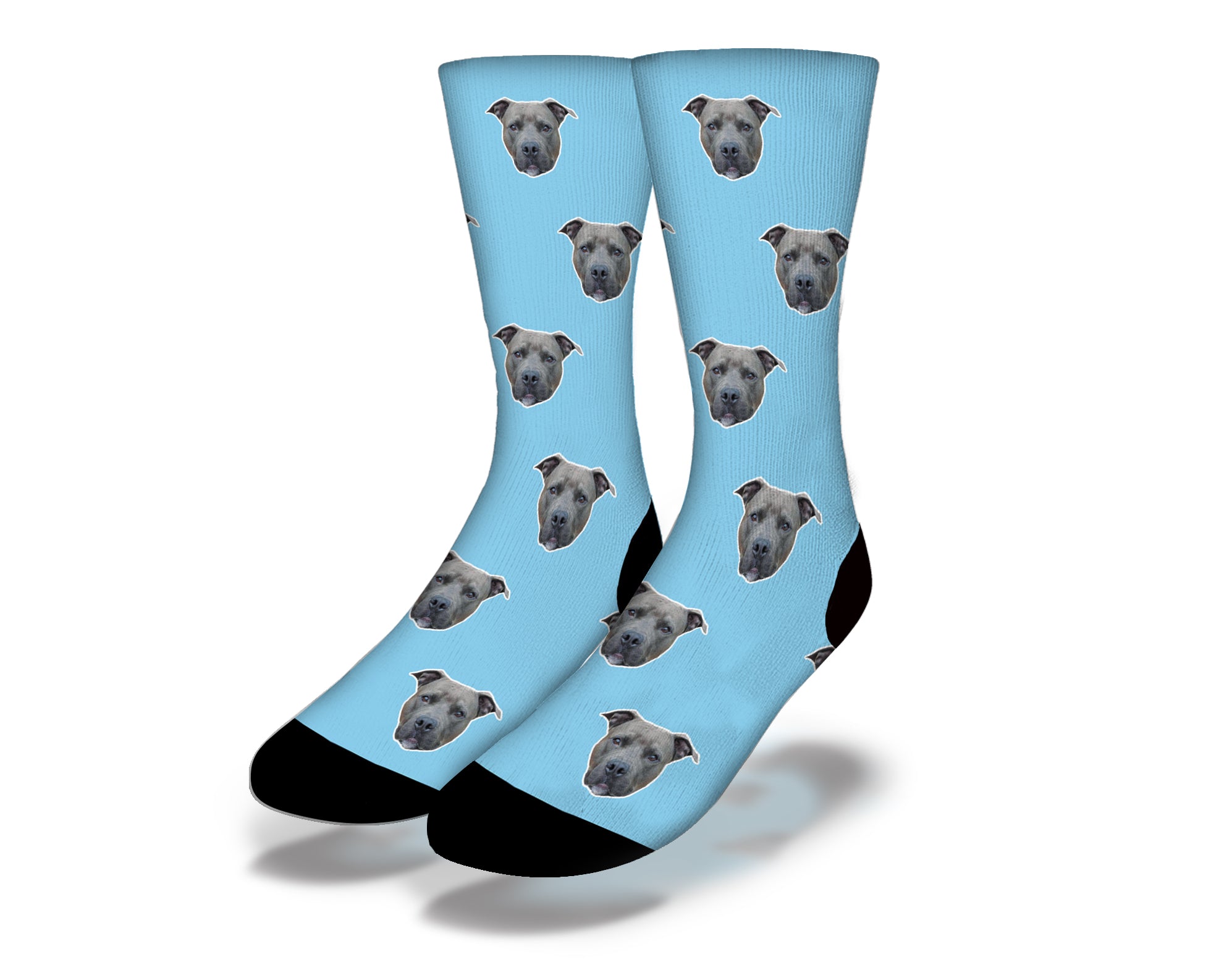 Aqua socks featuring a cute puppy face with big eyes, perfect for dog lovers.