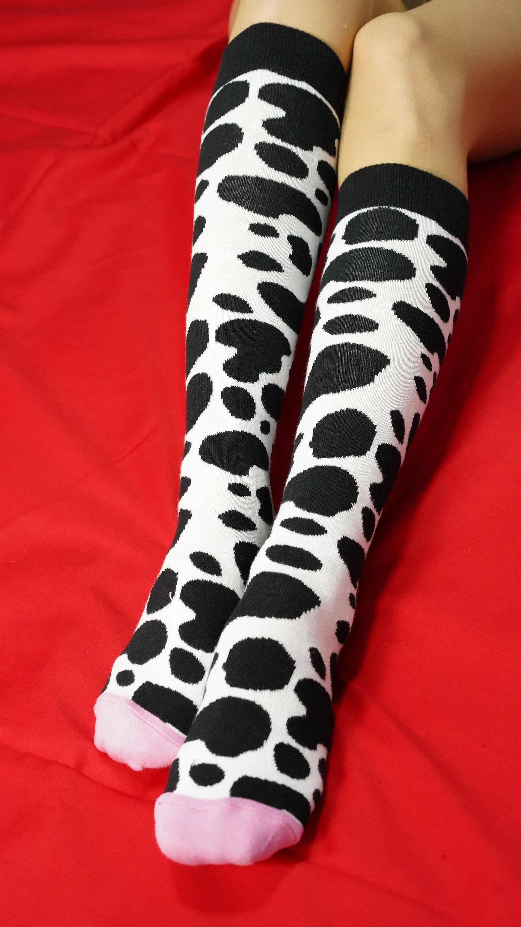 A vibrant set of Women's Animal Kingdom Knee High Socks featuring colorful animal patterns, perfect for adding a fun touch to any outfit.