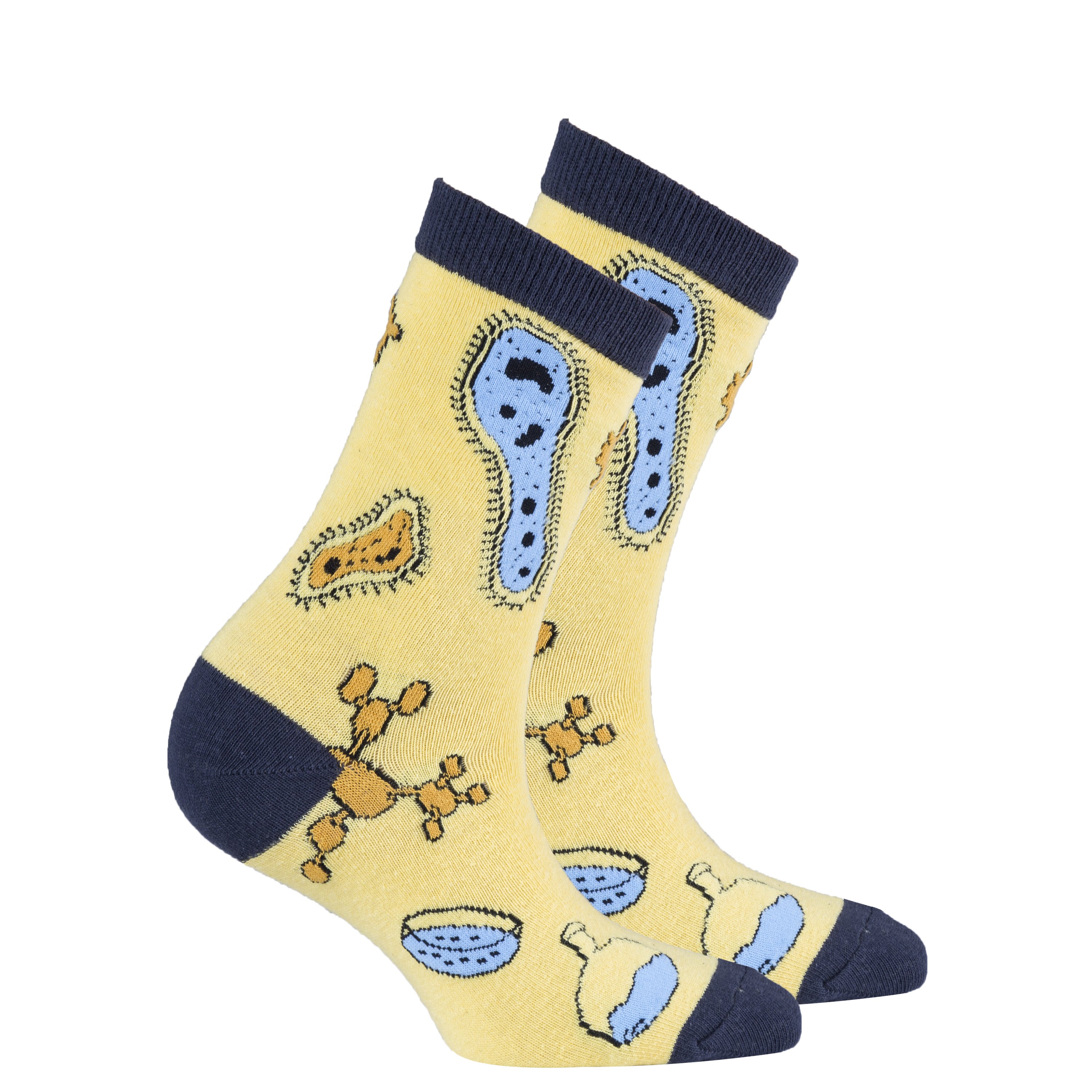 Colorful Women's Biology Socks made from soft Turkish cotton, featuring trendy patterns and designs.