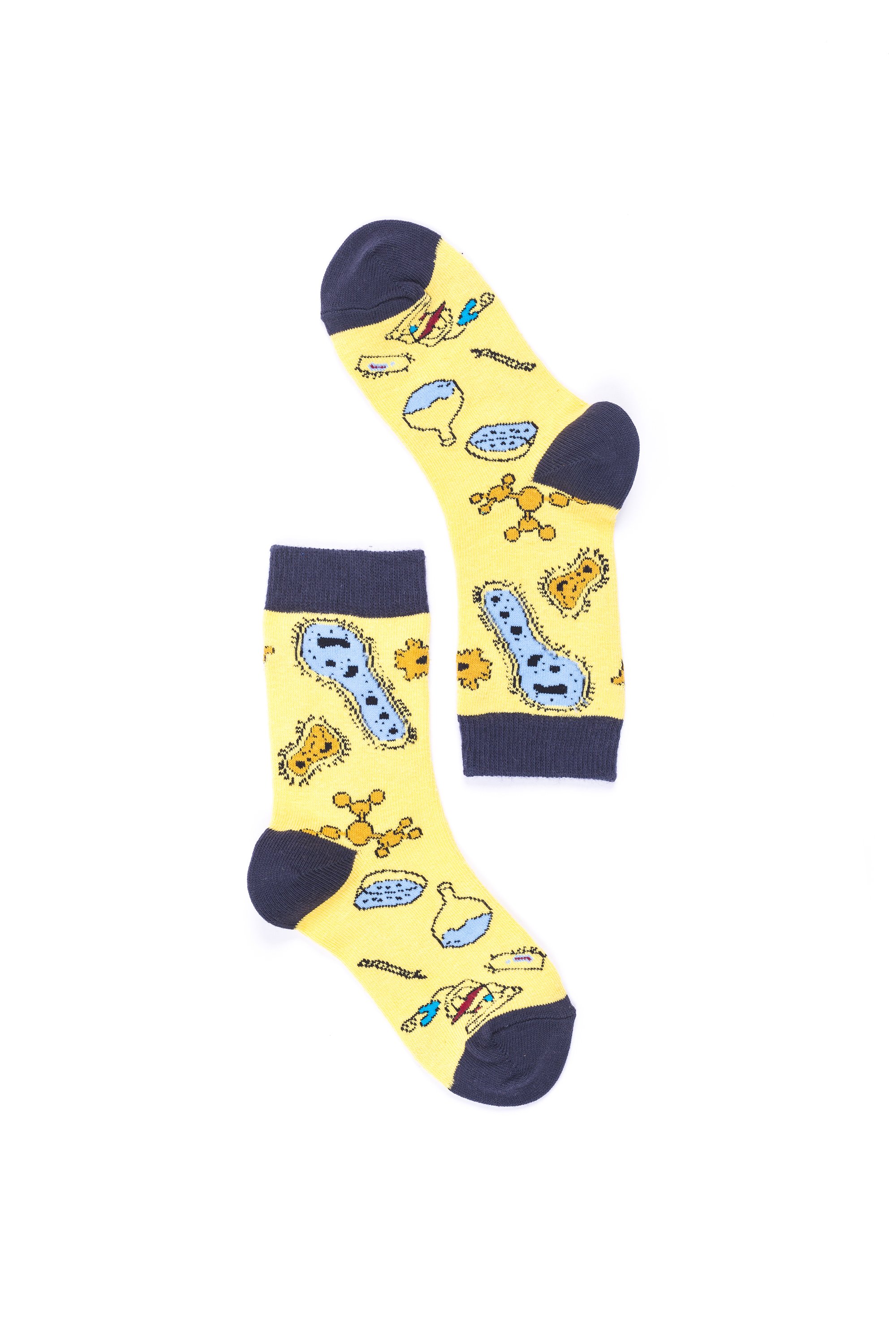 Colorful Women's Biology Socks made from soft Turkish cotton, featuring trendy patterns and designs.