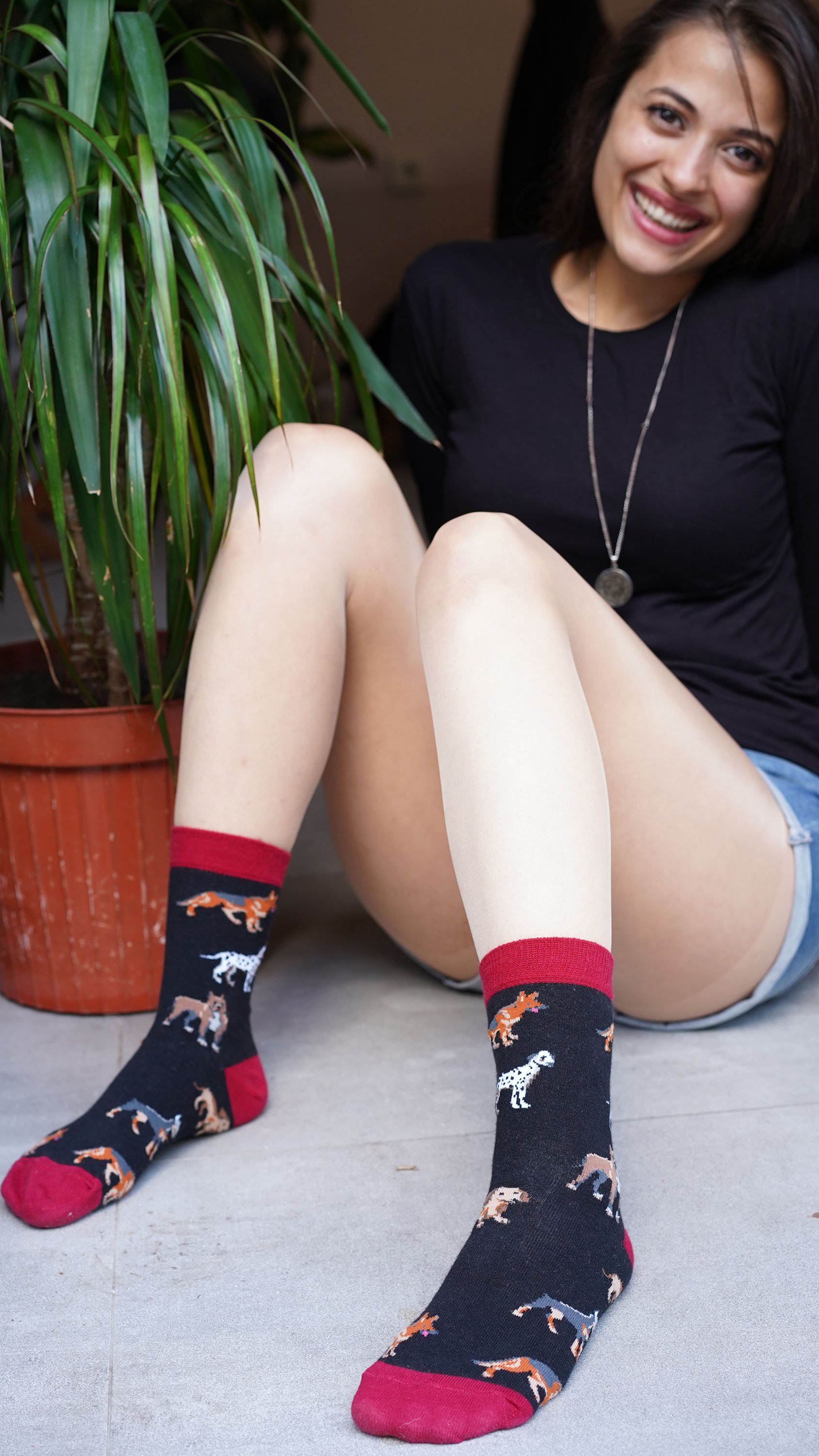 Colorful Women's Dog Species Socks featuring fun dog patterns, made from soft Turkish cotton for comfort.