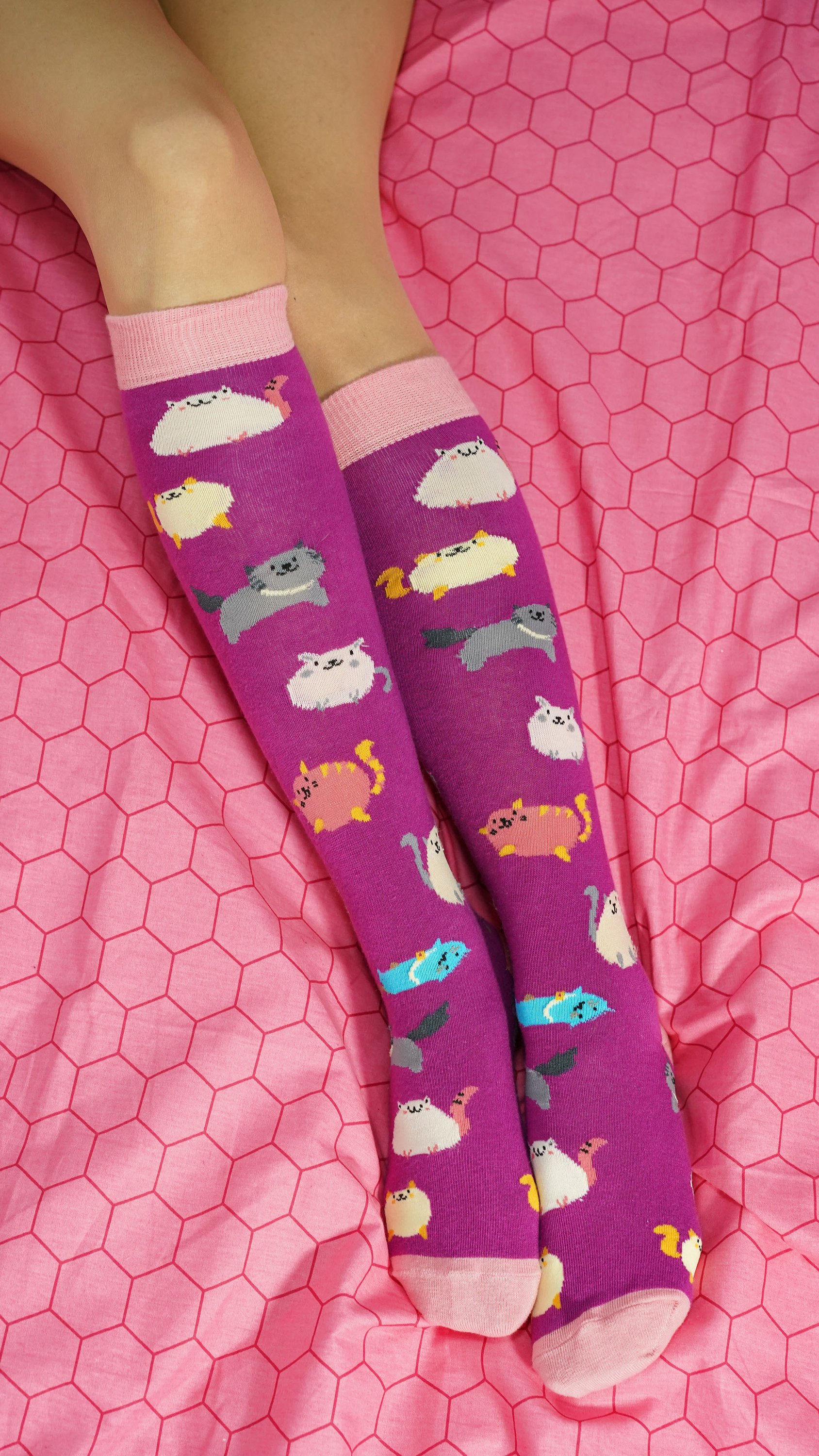 Colorful Women's Fatty Cats Knee High Socks featuring playful cat designs, made from soft Turkish cotton for comfort and style.